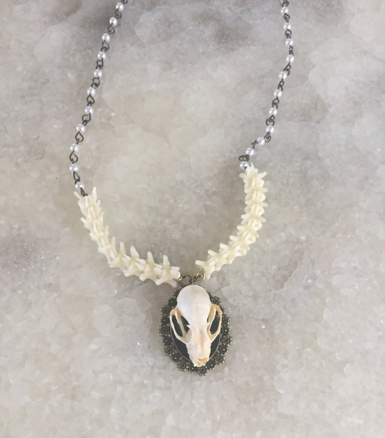 Bat Skull and Vertebrae Necklace