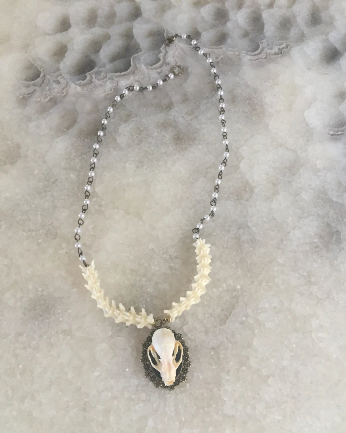 Bat Skull and Vertebrae Necklace