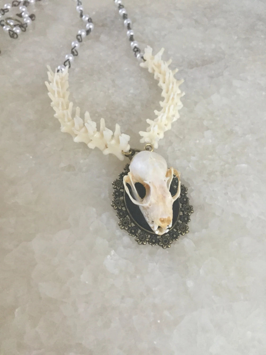 Bat Skull and Vertebrae Necklace