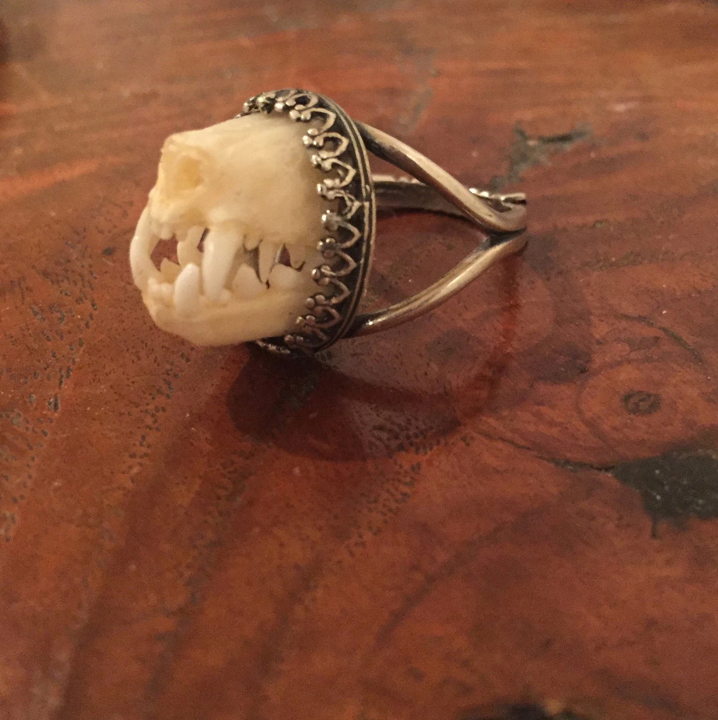 Charivari Bat Snout Ring
