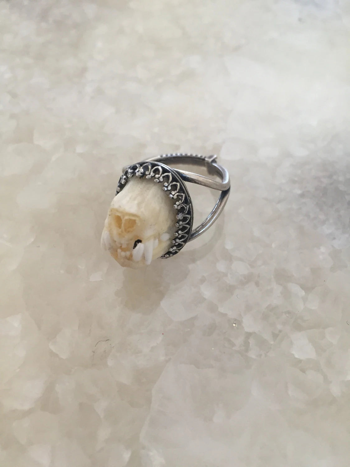 Charivari Bat Snout Ring