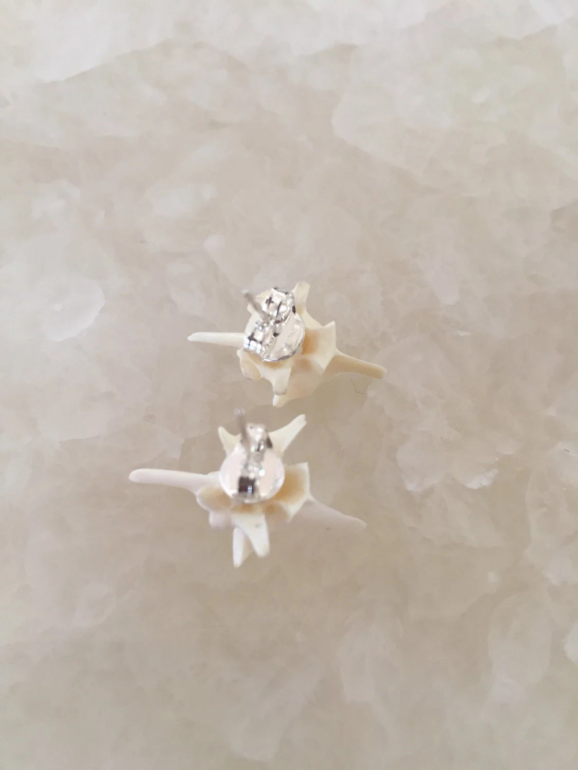 Boa Vertebrae stud earrings