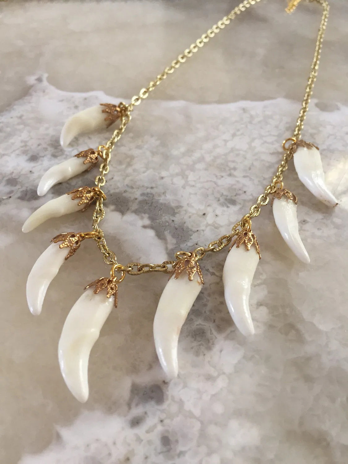 Coyote Tooth Charm Necklace
