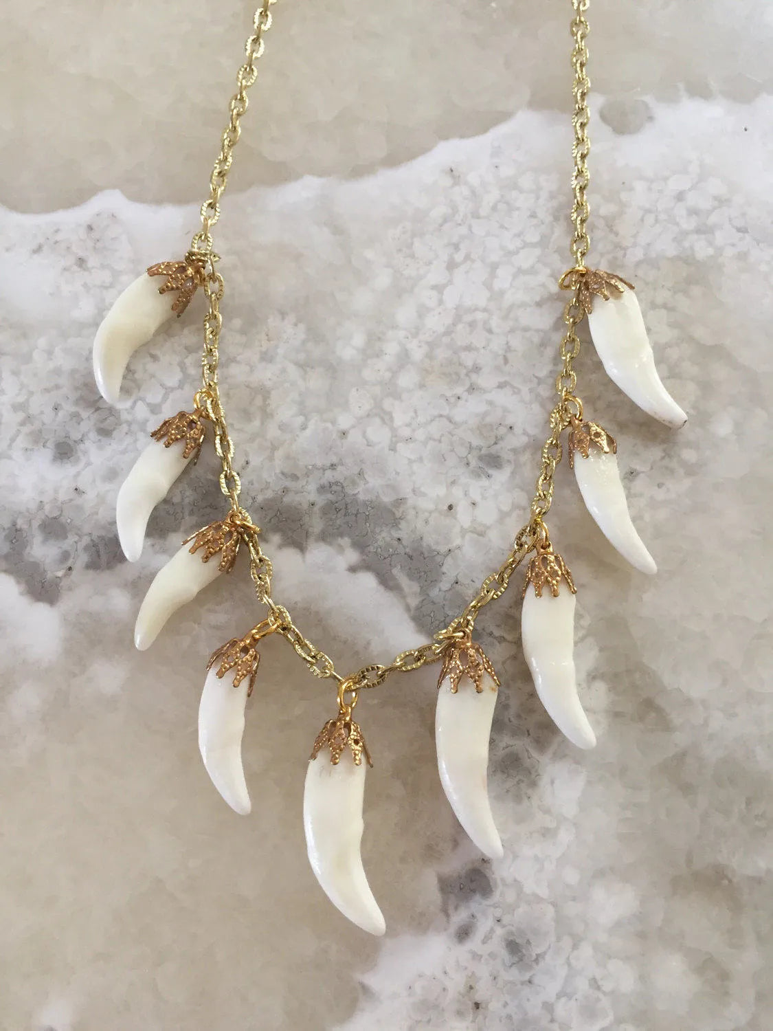 Coyote Tooth Charm Necklace