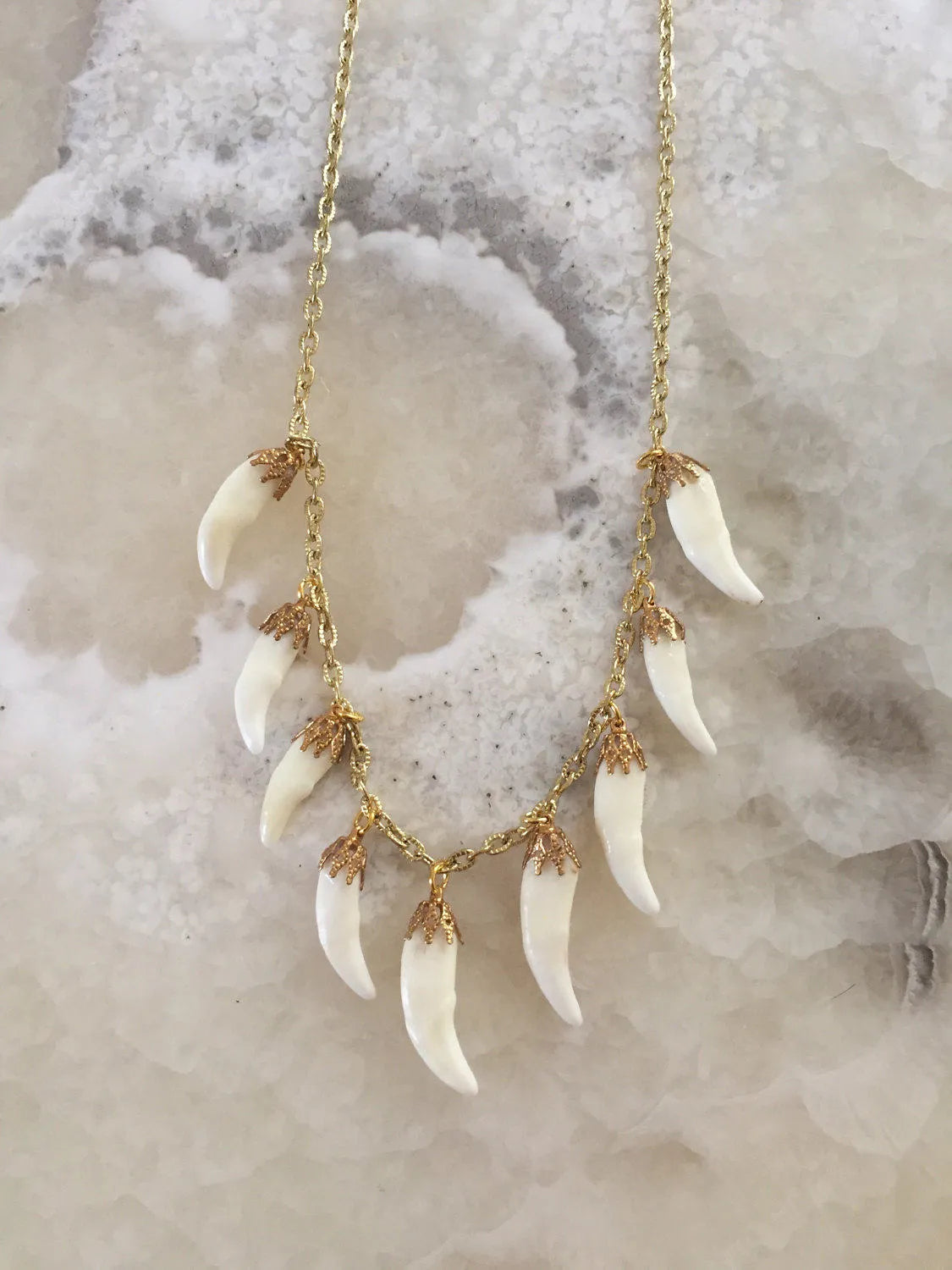 Coyote Tooth Charm Necklace