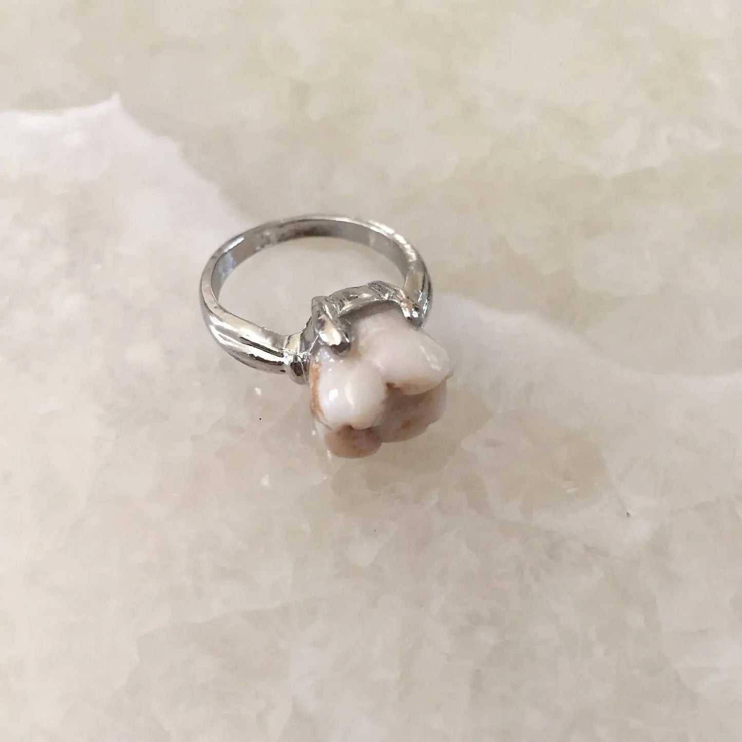Genuine Human Molar Ring