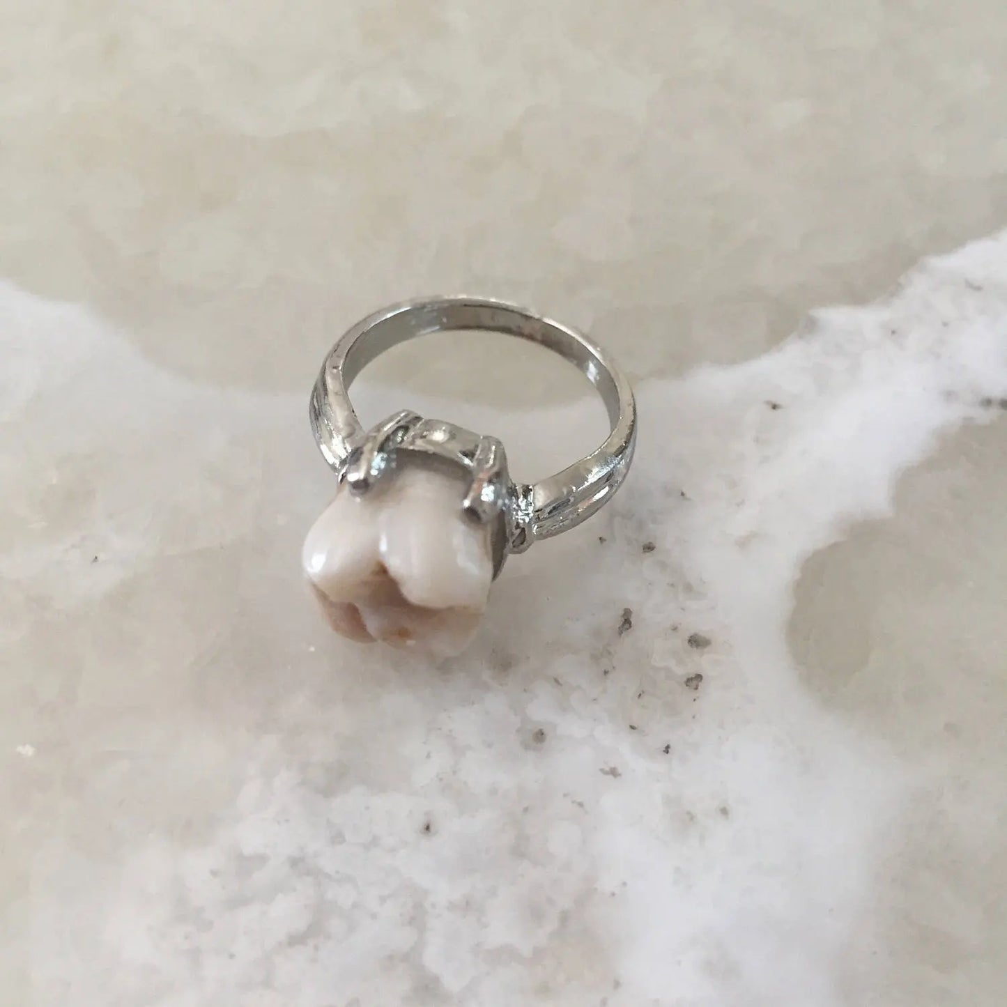 Genuine Human Molar Ring