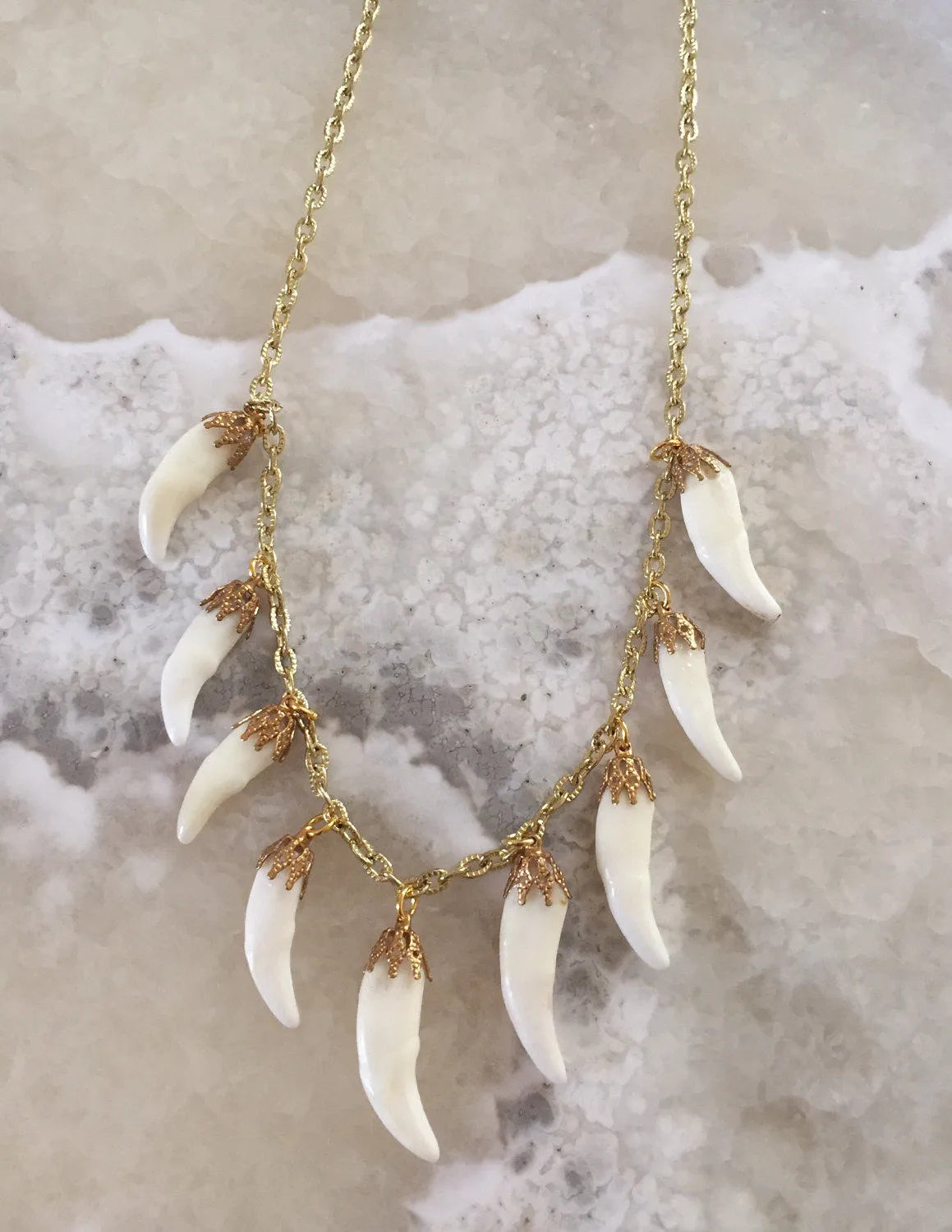 Coyote Tooth Charm Necklace