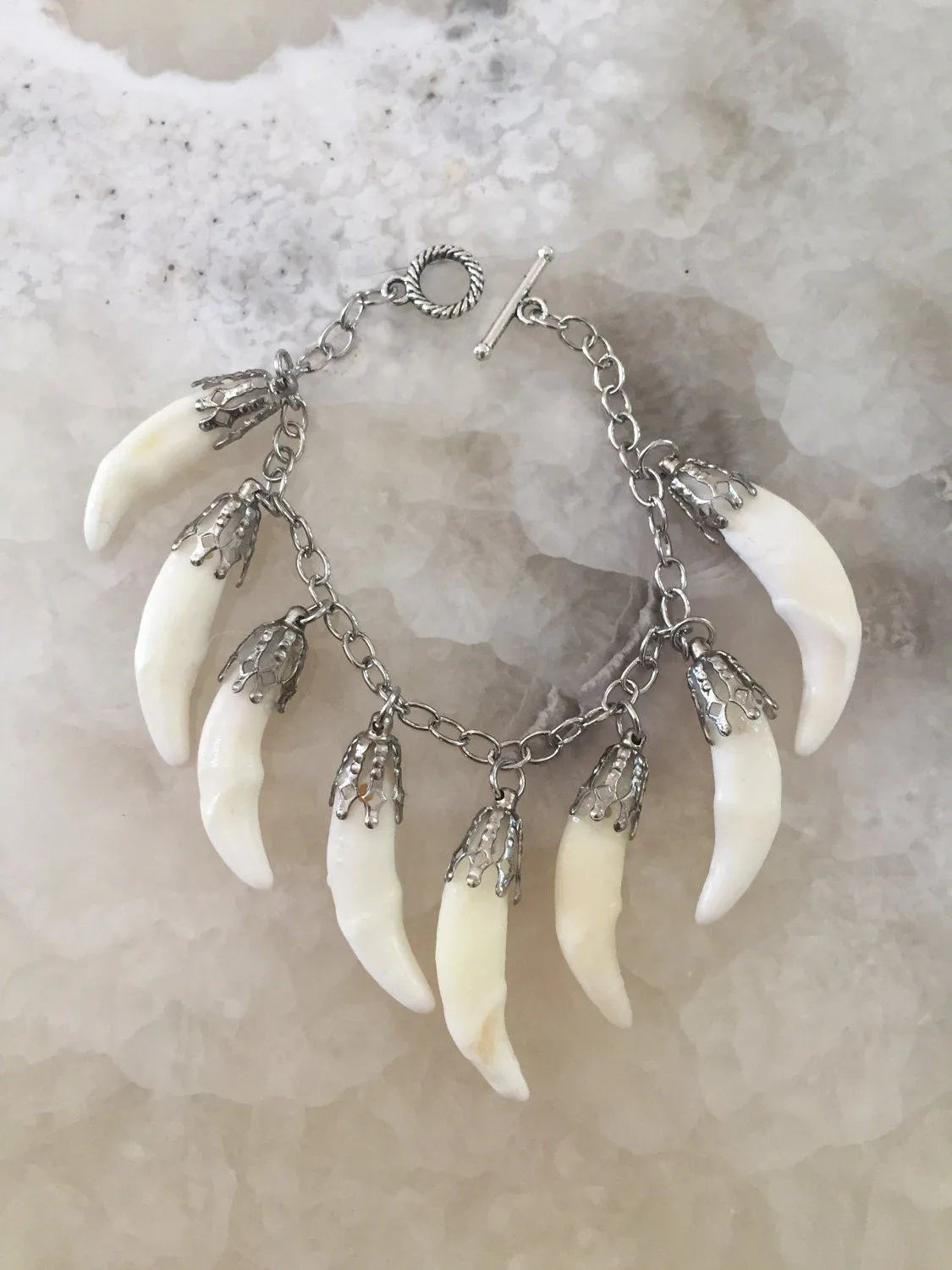 Coyote Fang Charm Bracelet