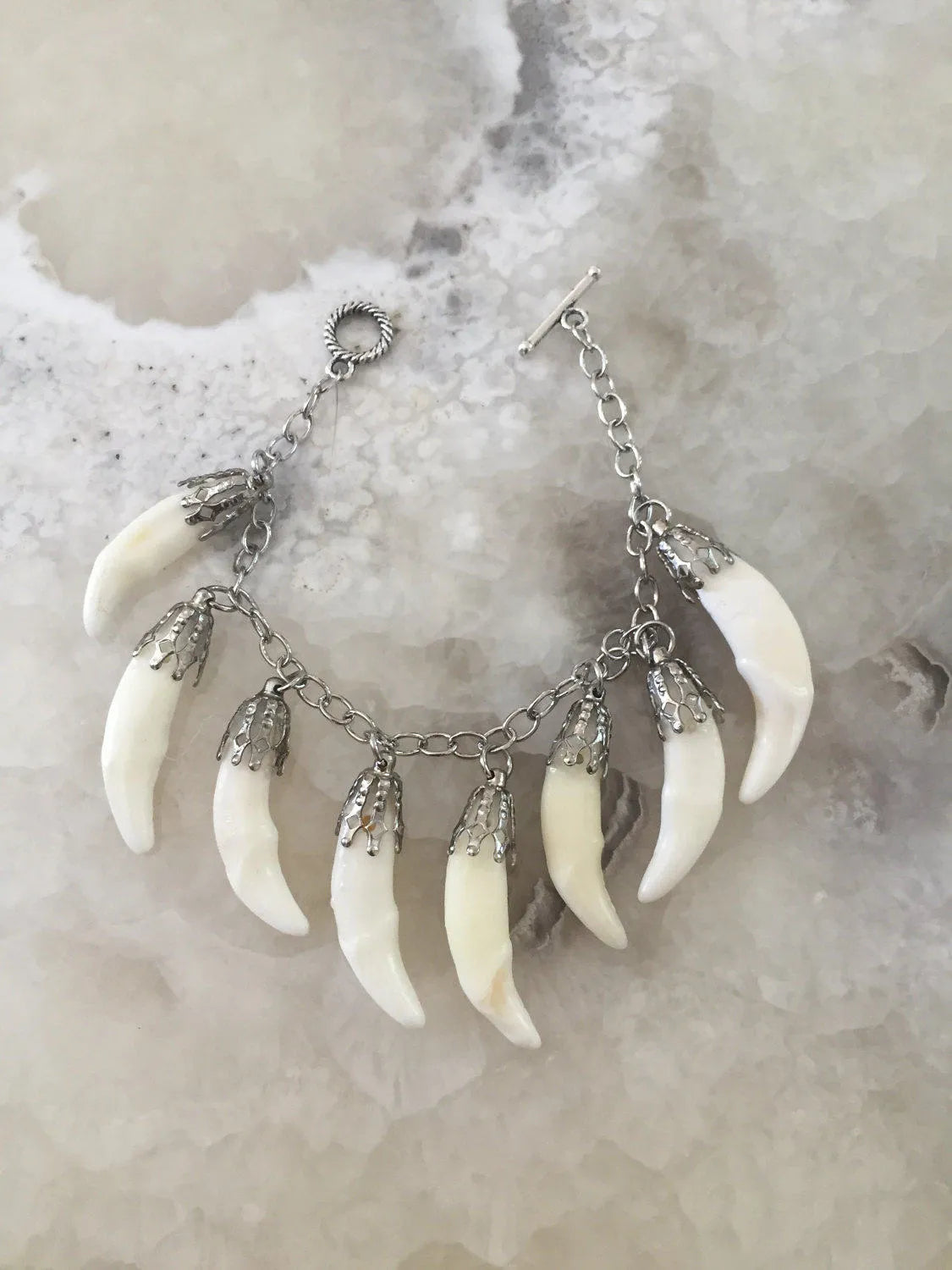 Coyote Fang Charm Bracelet