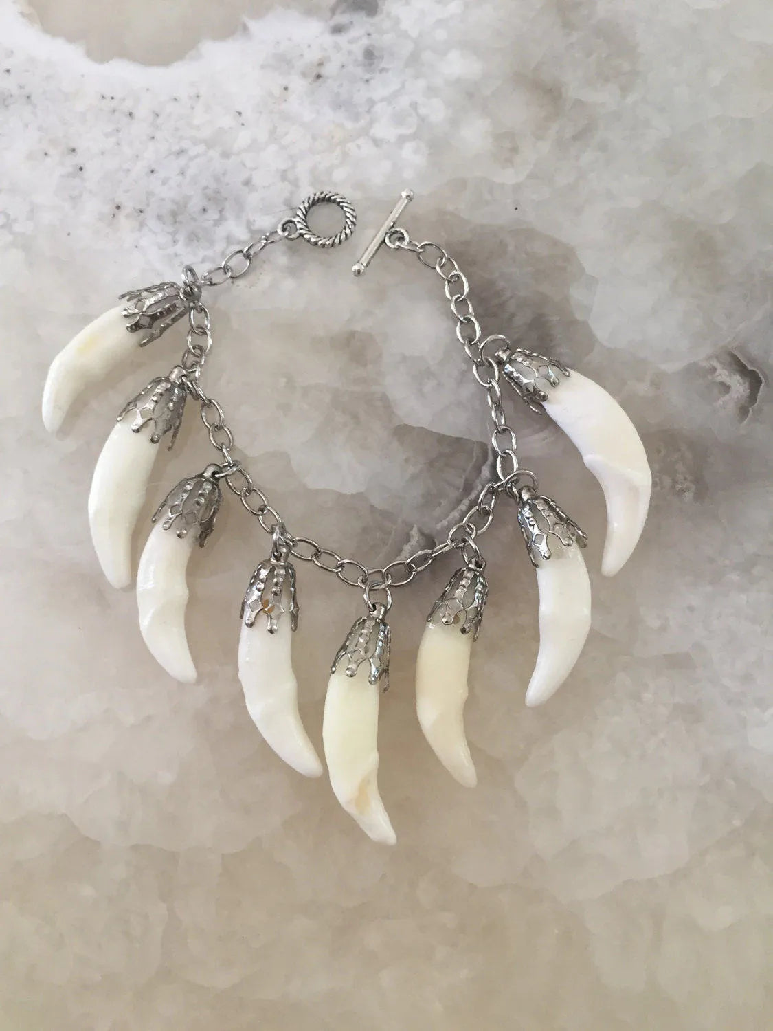 Coyote Fang Charm Bracelet