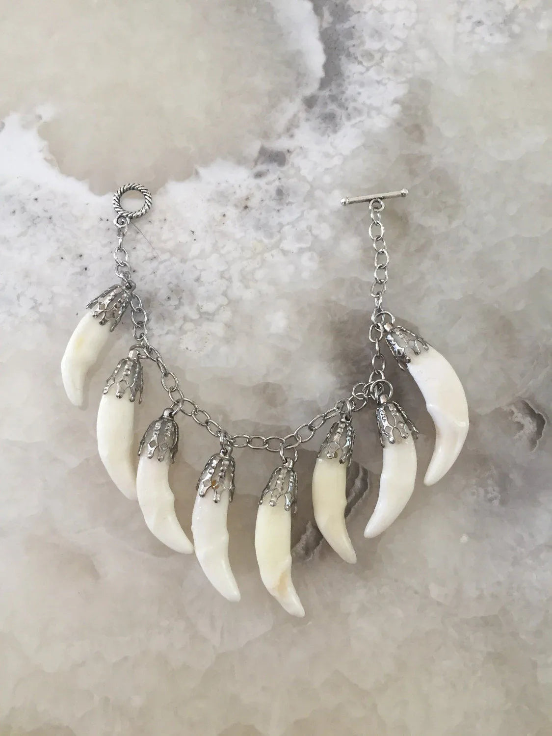 Coyote Fang Charm Bracelet