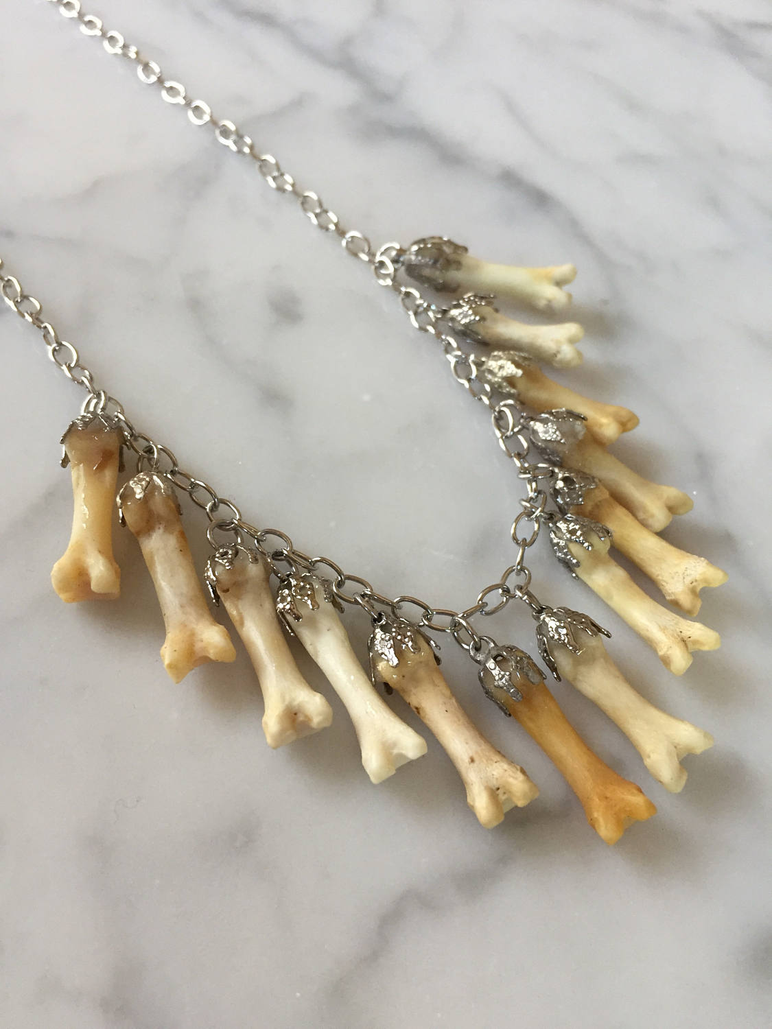Lucky 13 Coyote Toe Charm Necklace