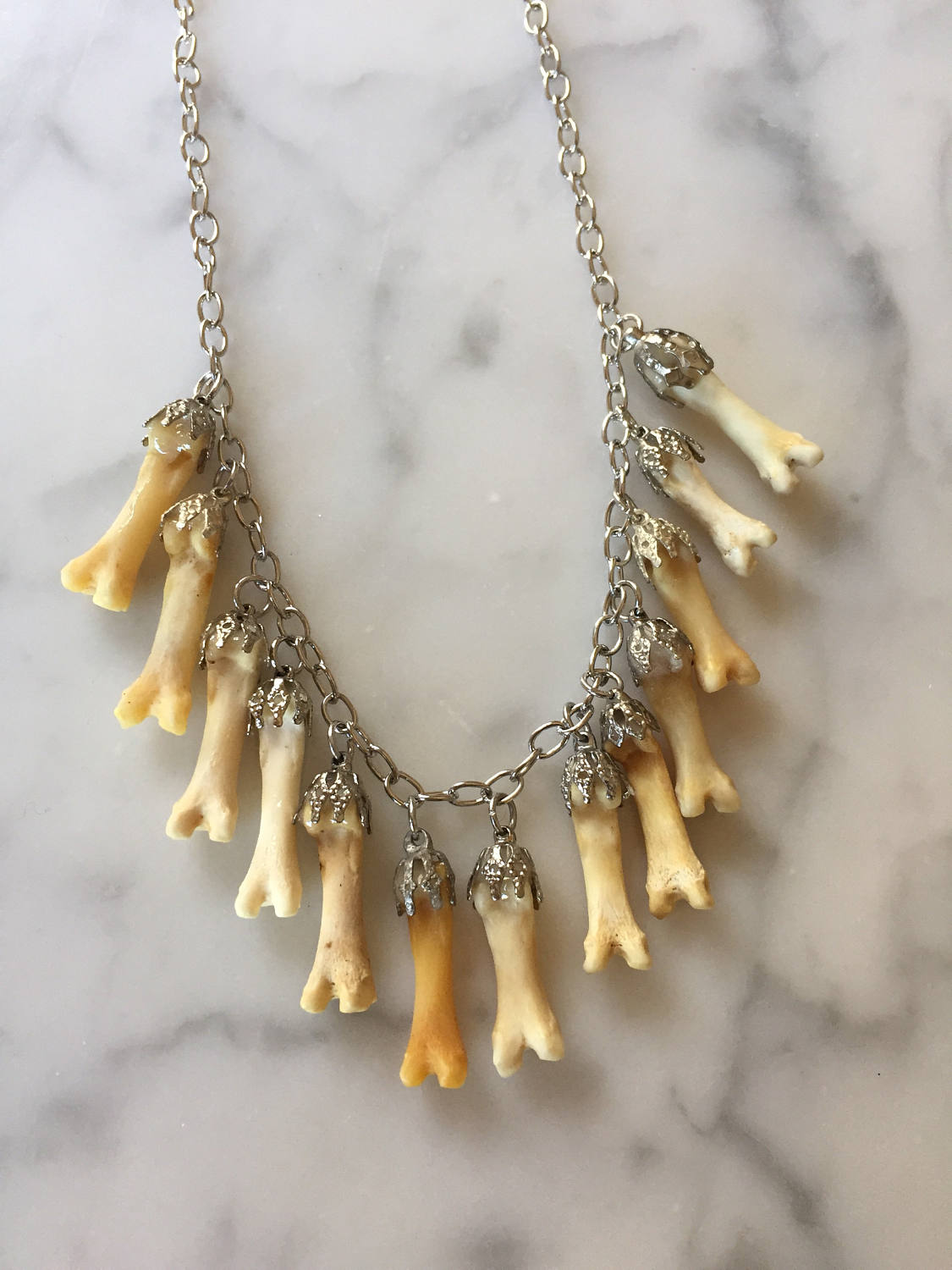 Lucky 13 Coyote Toe Charm Necklace
