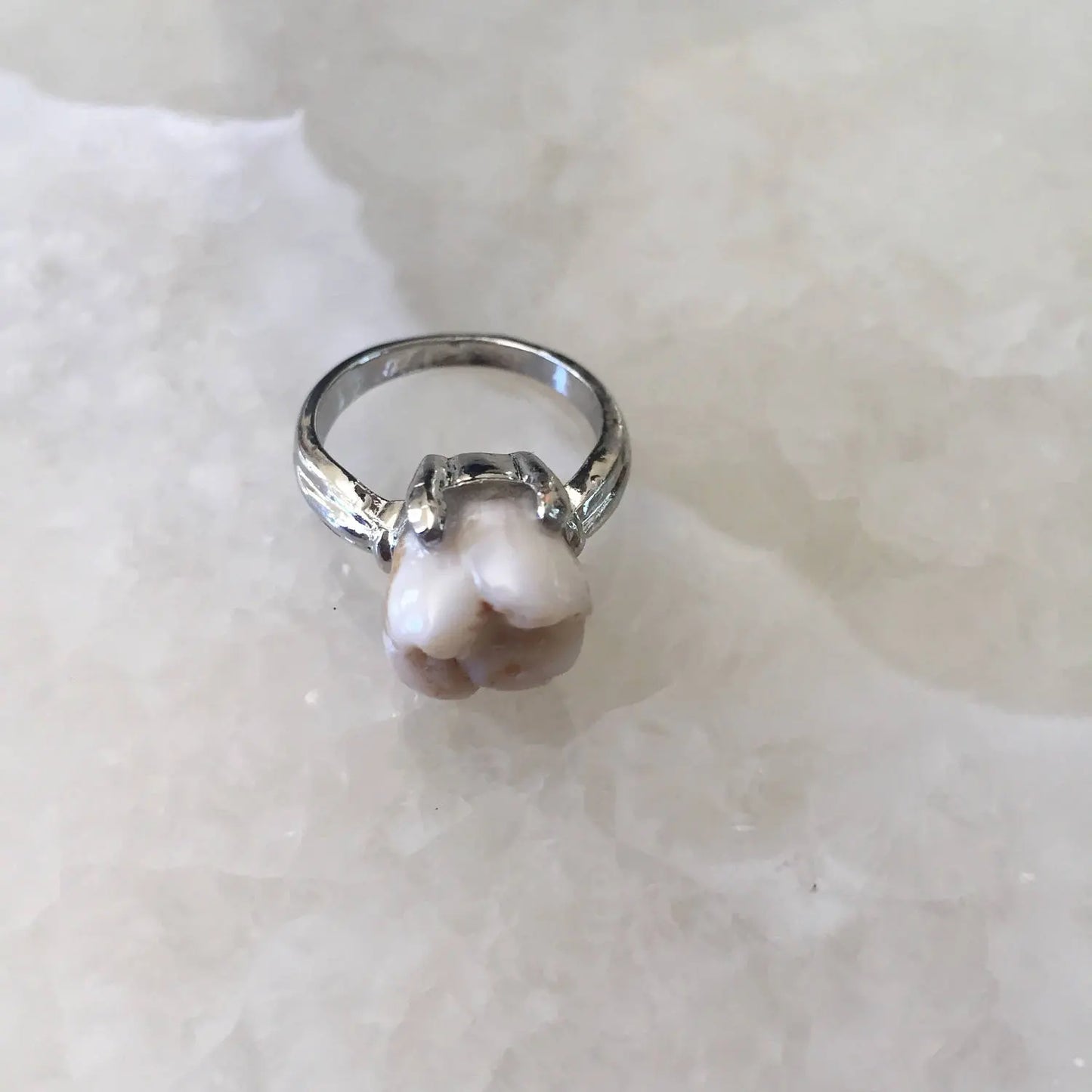 Genuine Human Molar Ring