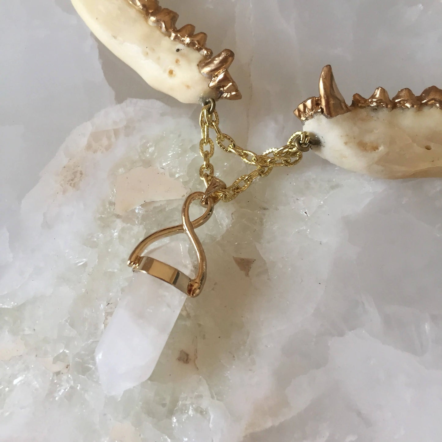 Double Jawbone and Crystal Necklace