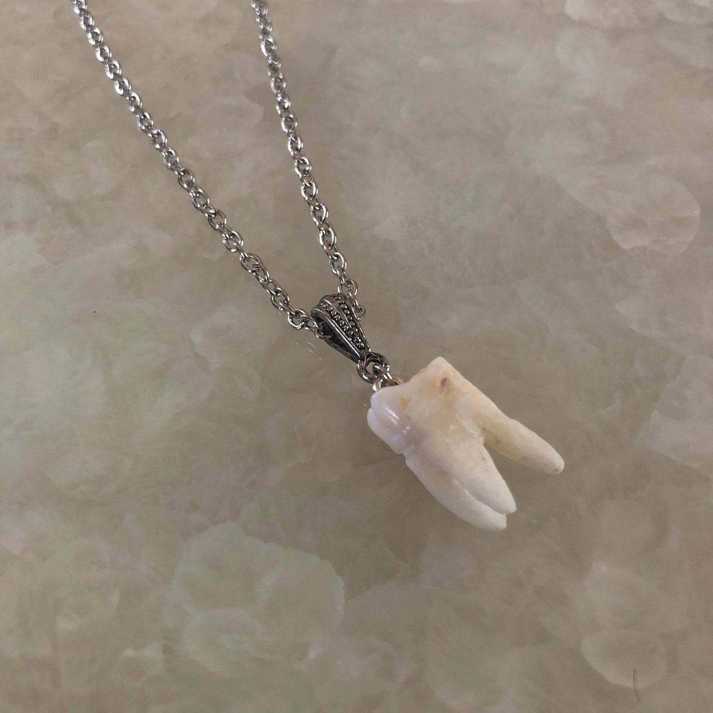 Human Molar Pendant Necklace