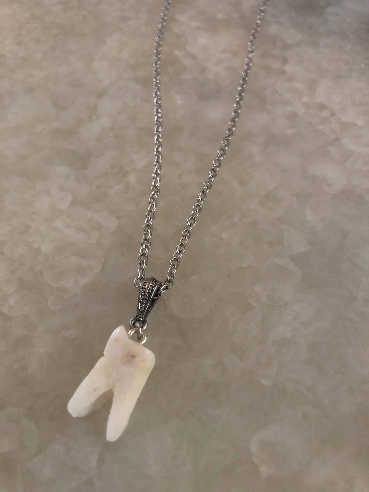 Human Molar Pendant Necklace