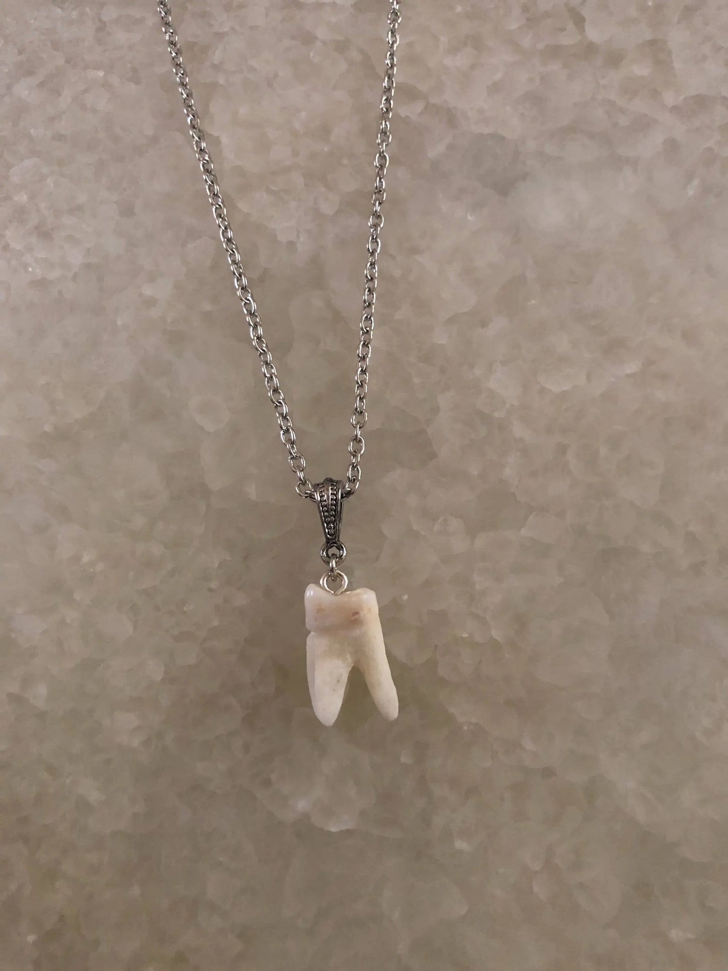 Human Molar Pendant Necklace