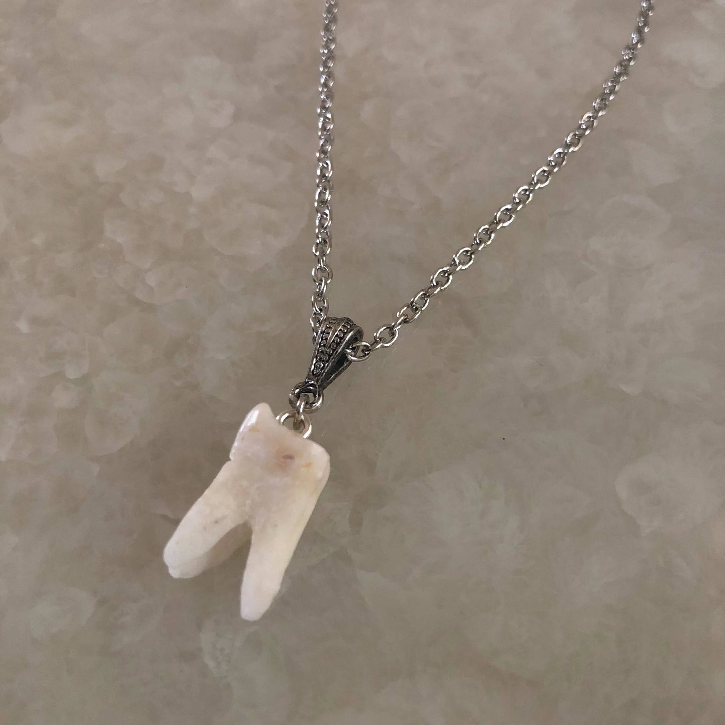 Human Molar Pendant Necklace