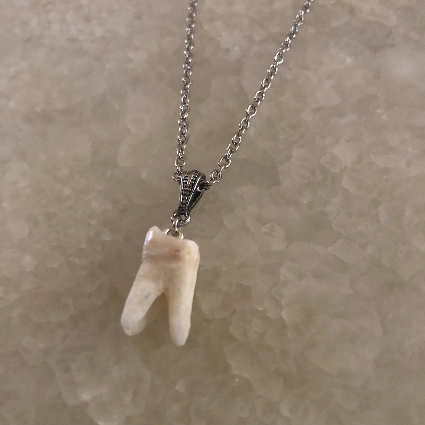 Human Molar Pendant Necklace