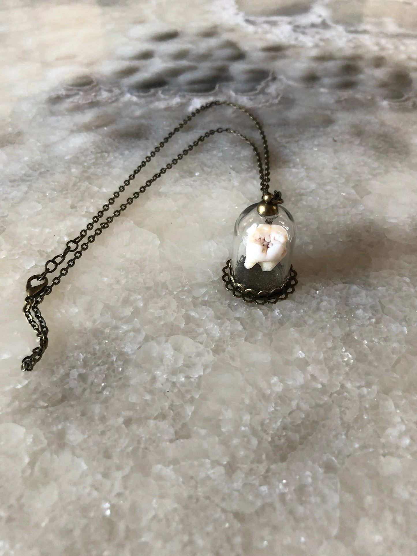 Human Molar Bell Jar Necklace