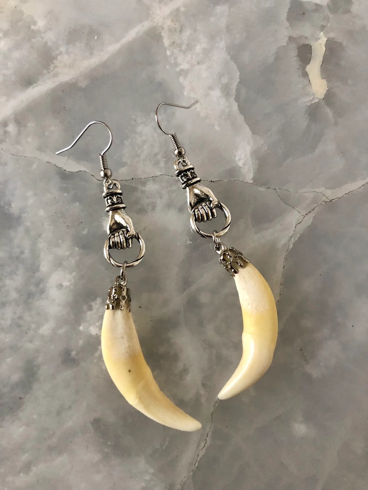 Coyote Fang Curiosity Earrings