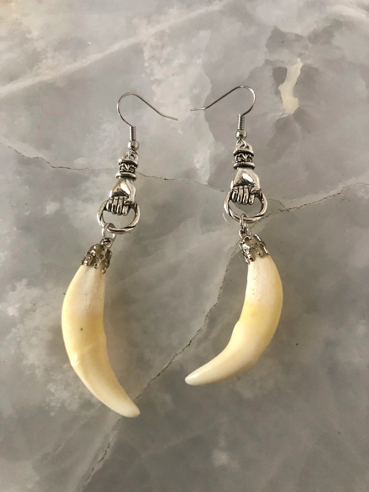 Coyote Fang Curiosity Earrings