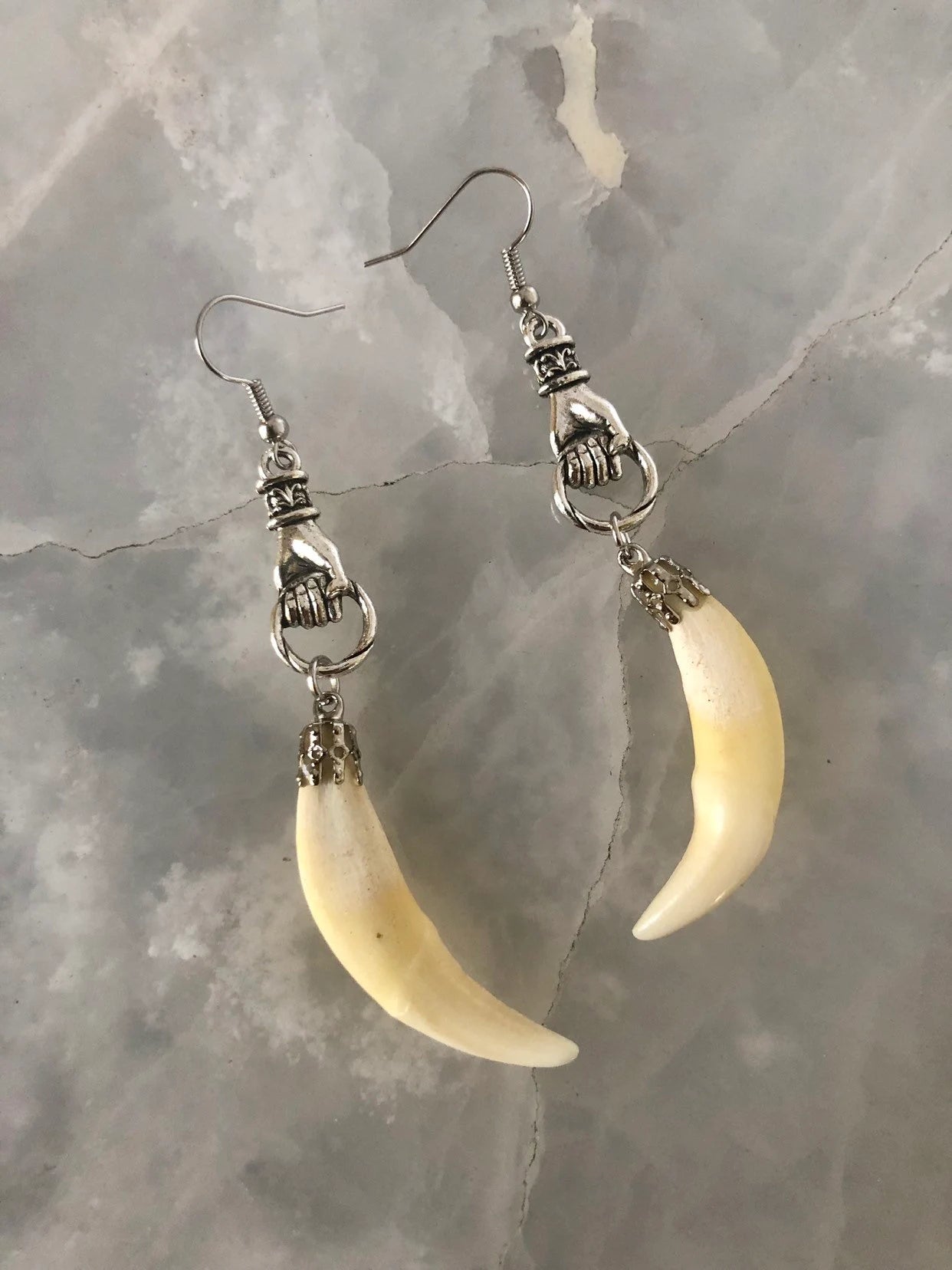 Coyote Fang Curiosity Earrings