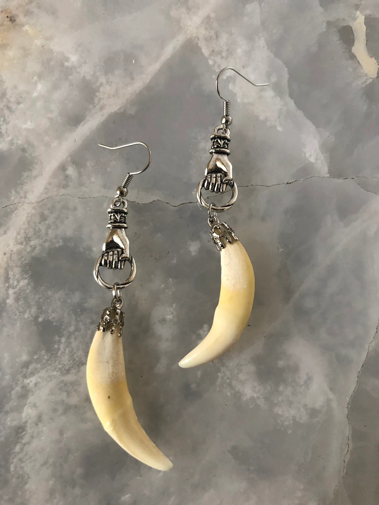 Coyote Fang Curiosity Earrings