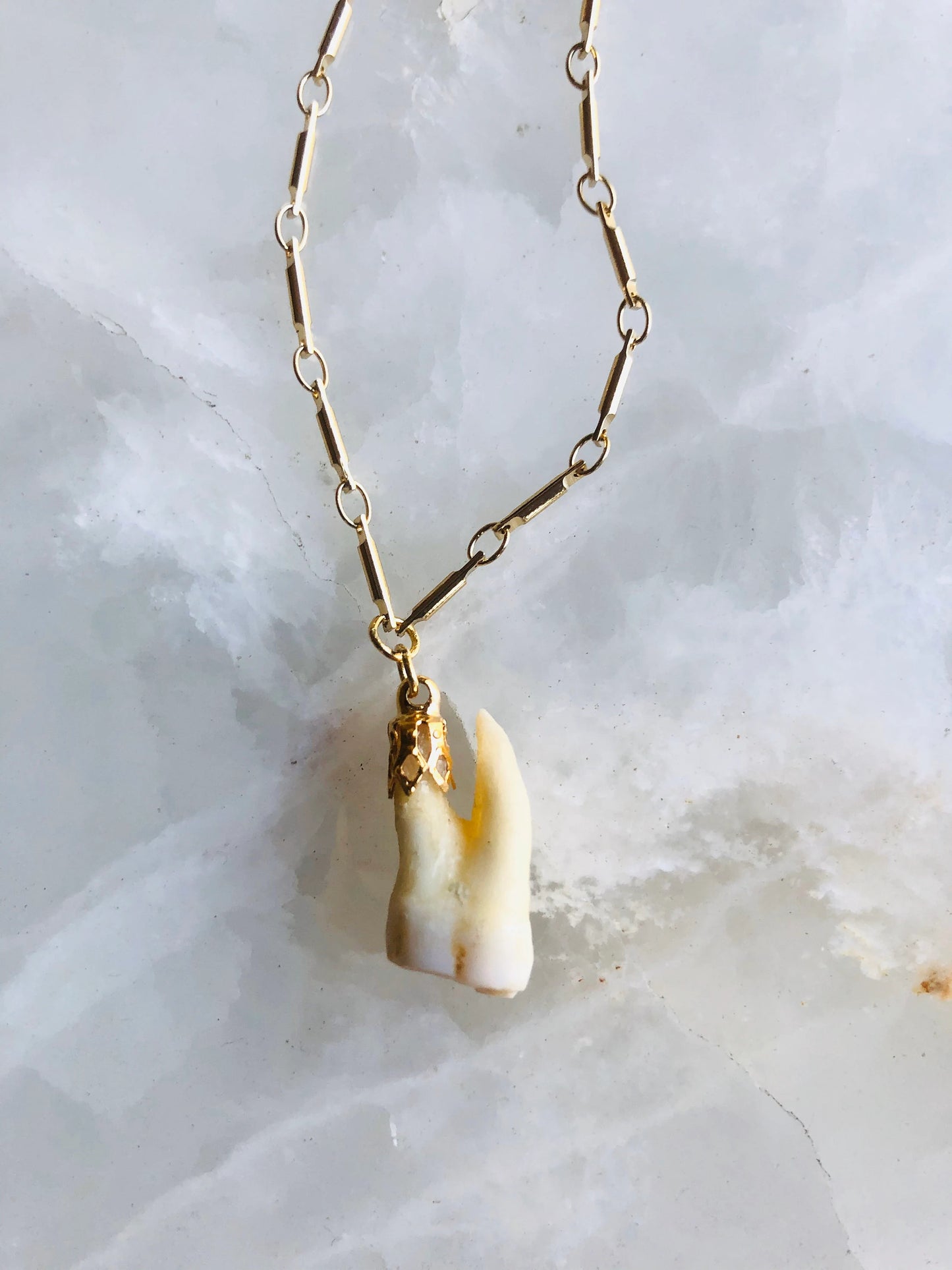 Memento Mori Molar Necklace