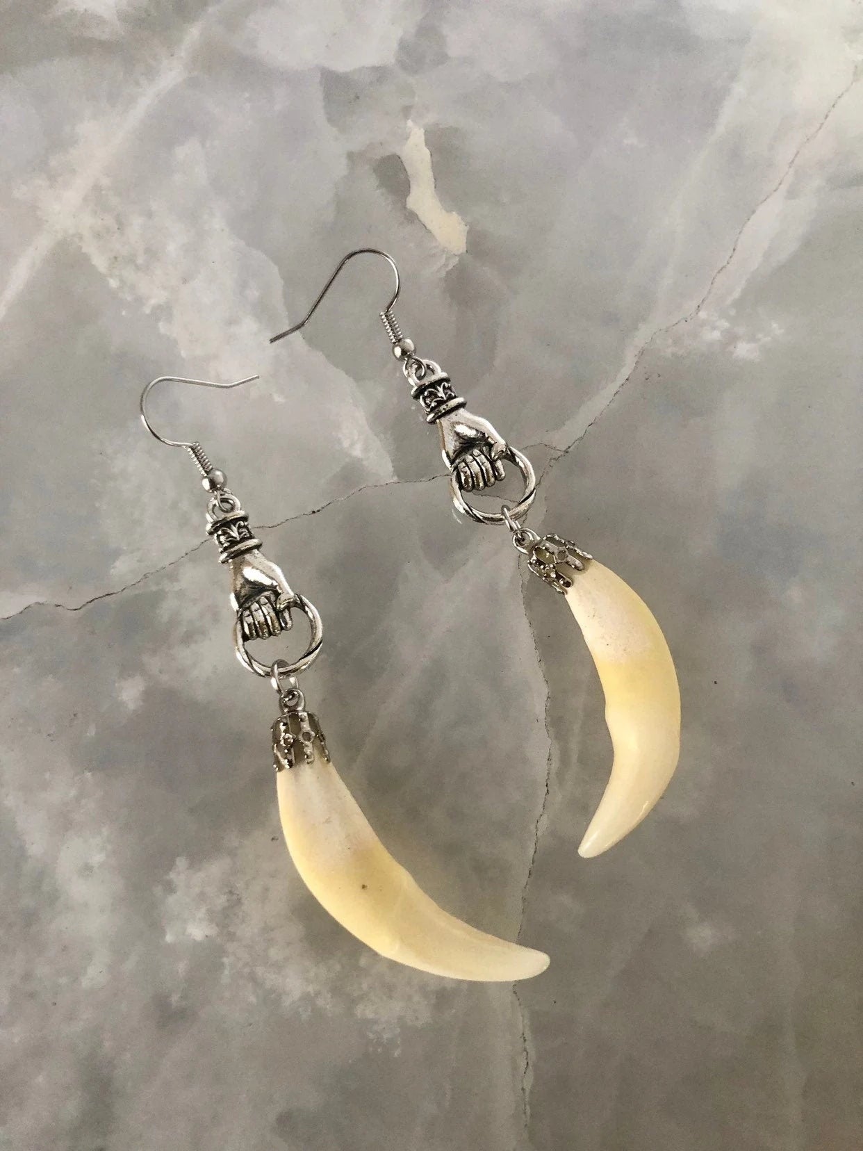 Coyote Fang Curiosity Earrings