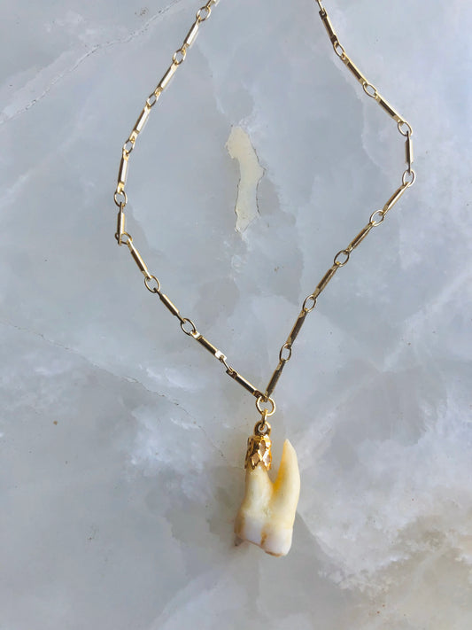 Memento Mori Molar Necklace