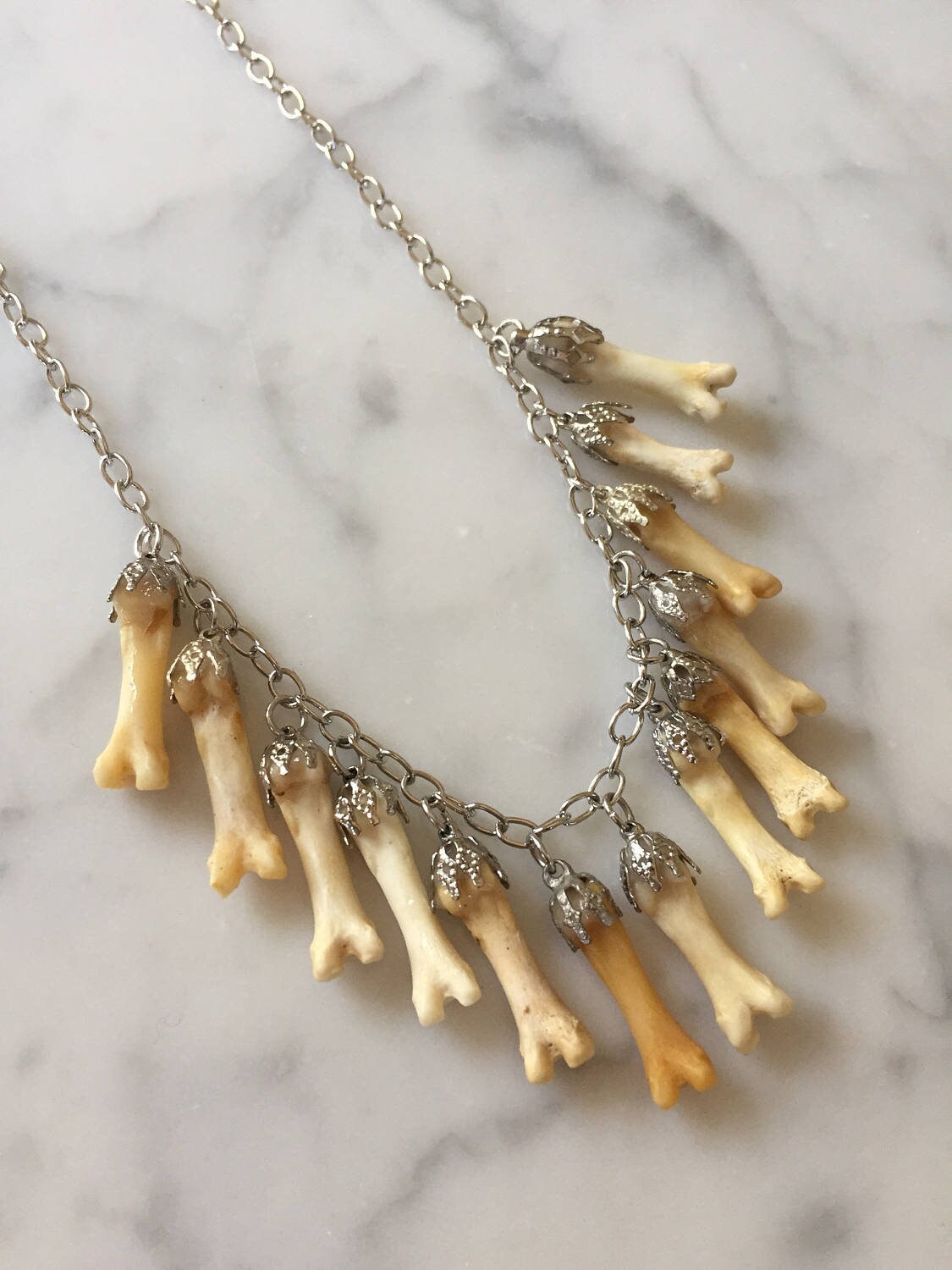 Lucky 13 Coyote Toe Charm Necklace