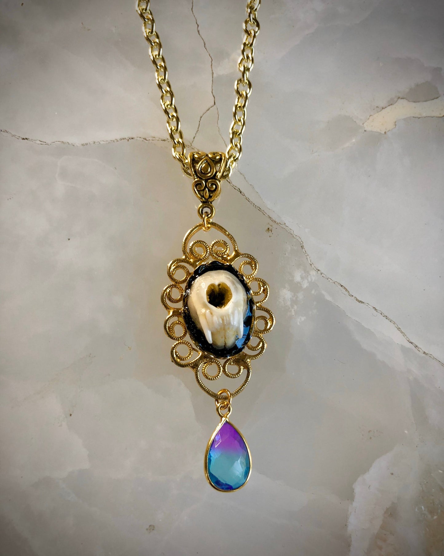 Weasel Snout Taxidermy Necklace