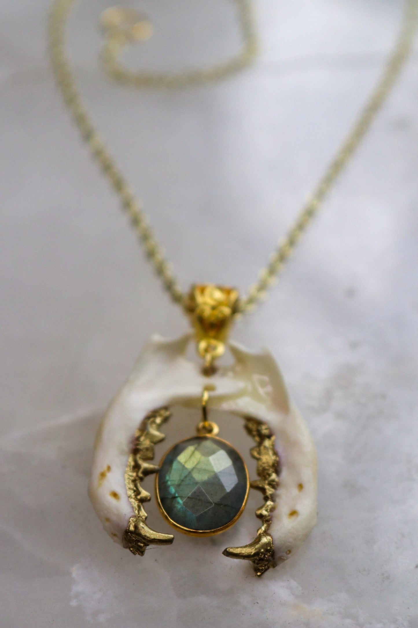 Labradorite Biting Mandible Necklace