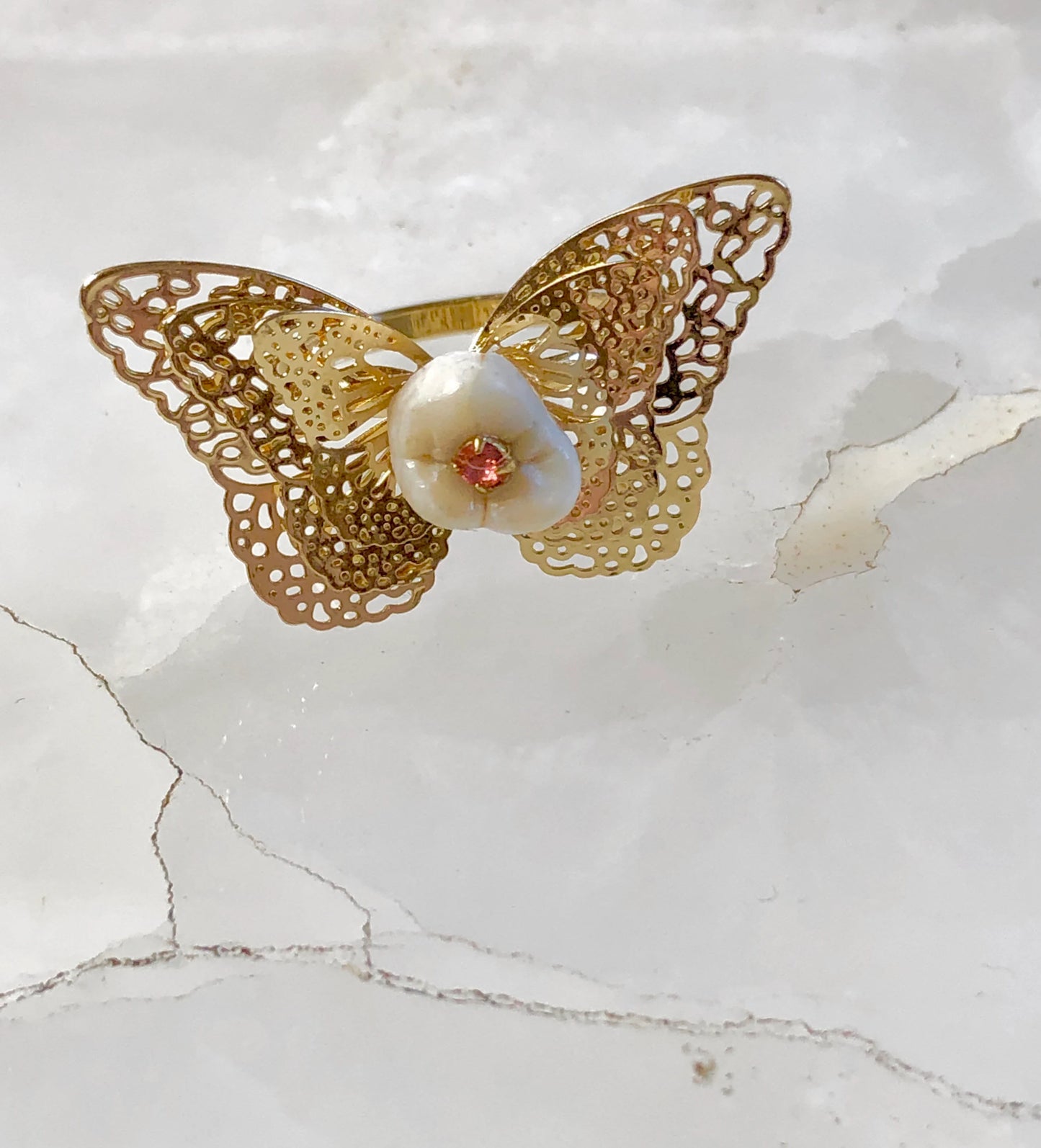 Human Molar Butterfly Ring