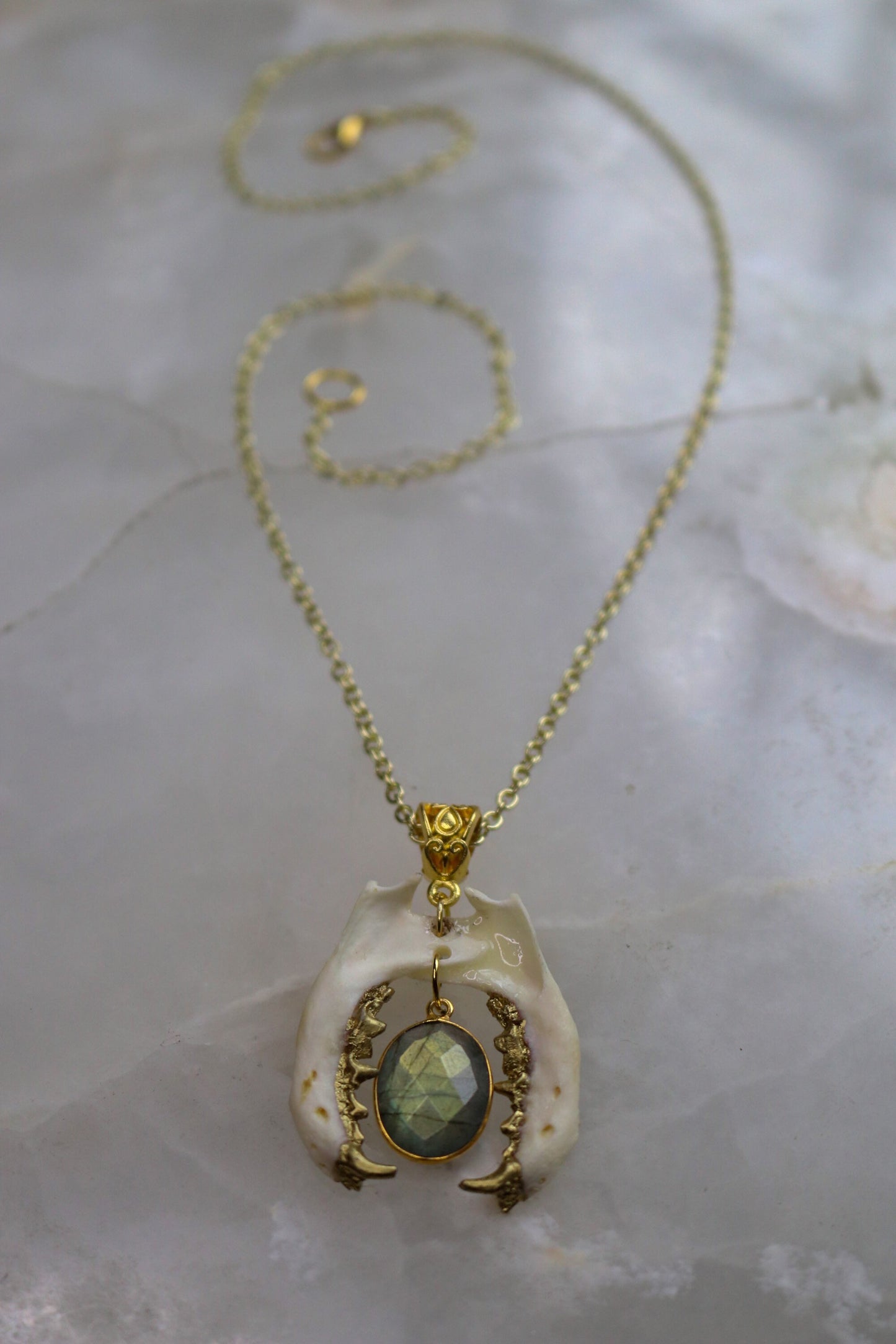 Labradorite Biting Mandible Necklace