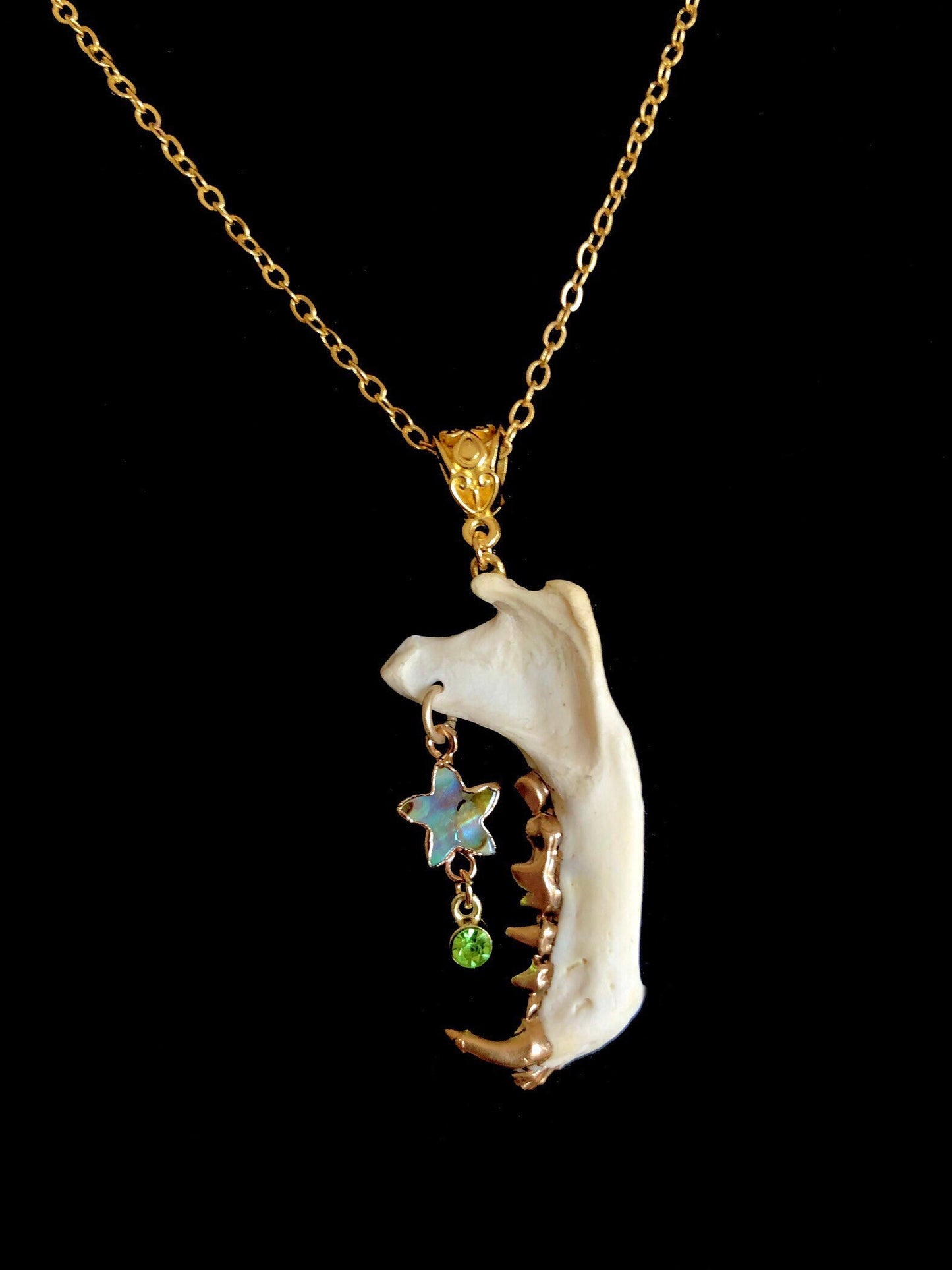 Skunk Jaw and Abalone Star Necklace