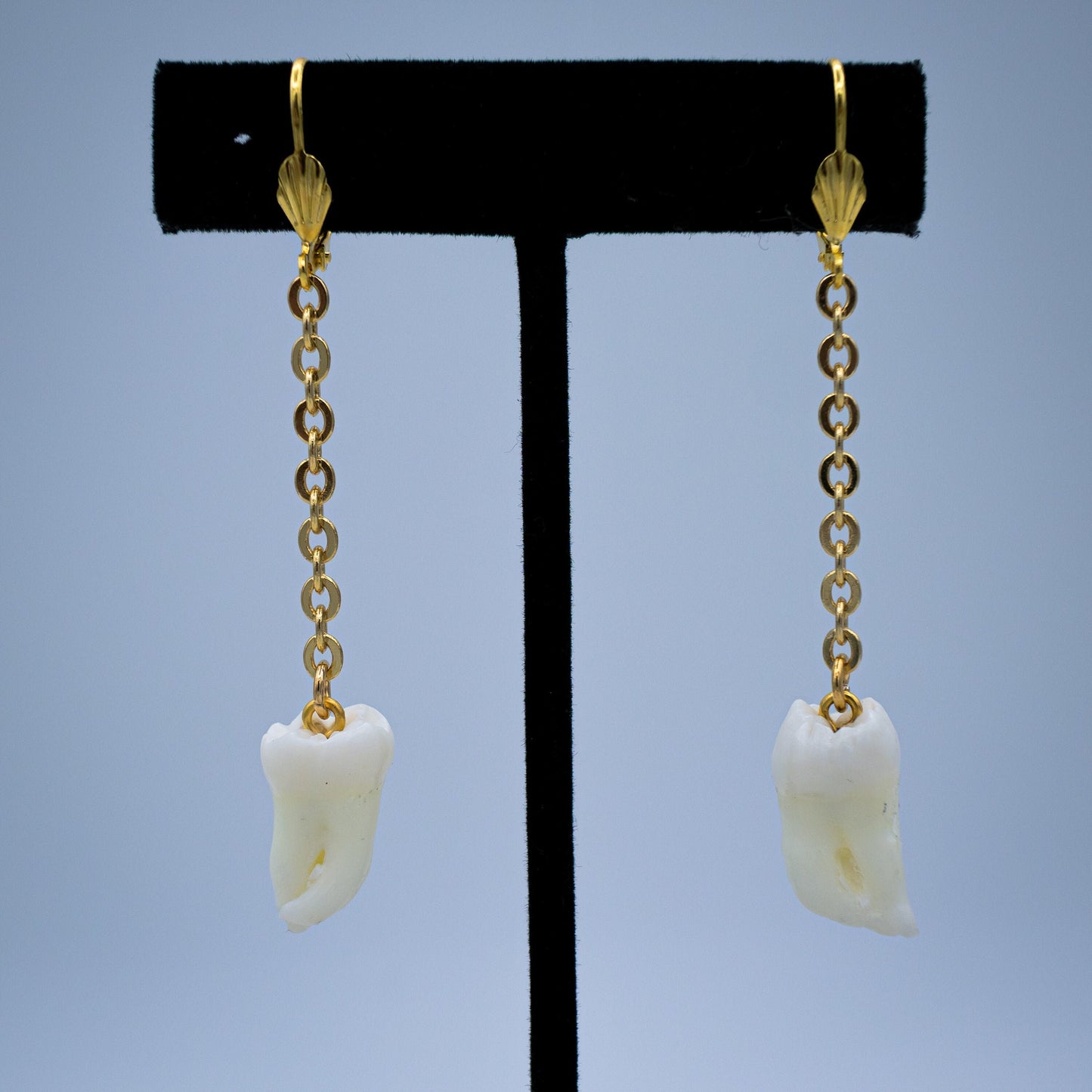 Morning Molar and Chain Earrings