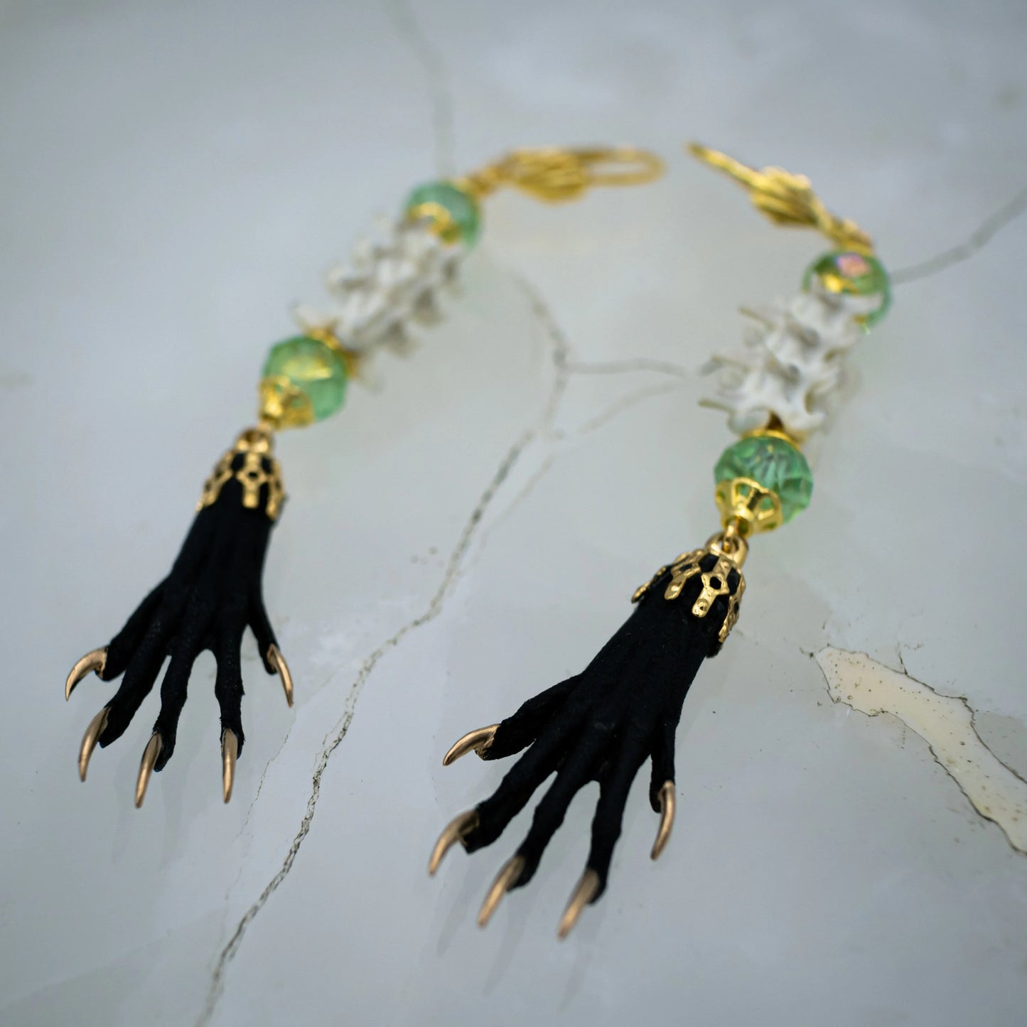 Vertebrae and Paw Taxidermy Earrings