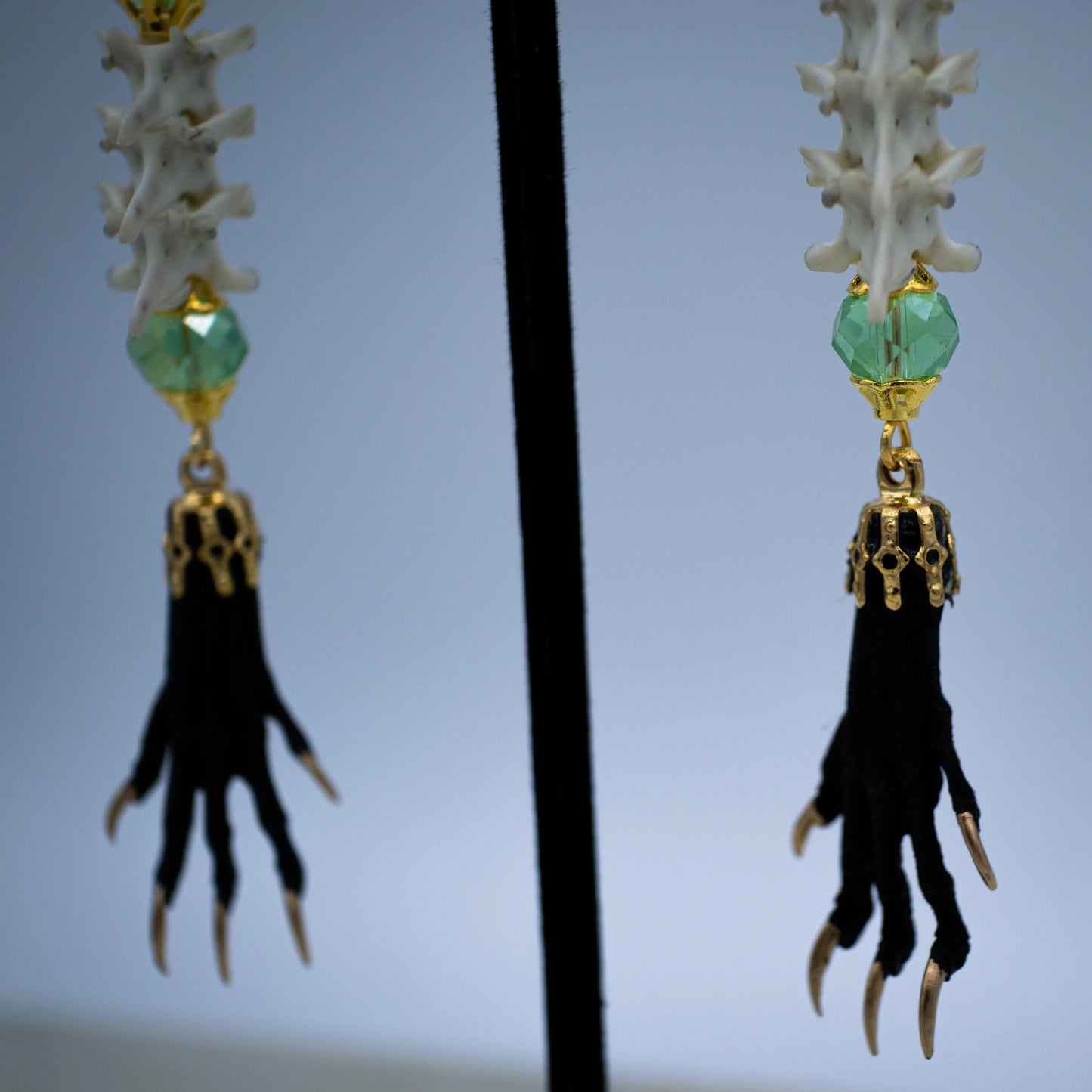 Vertebrae and Paw Taxidermy Earrings