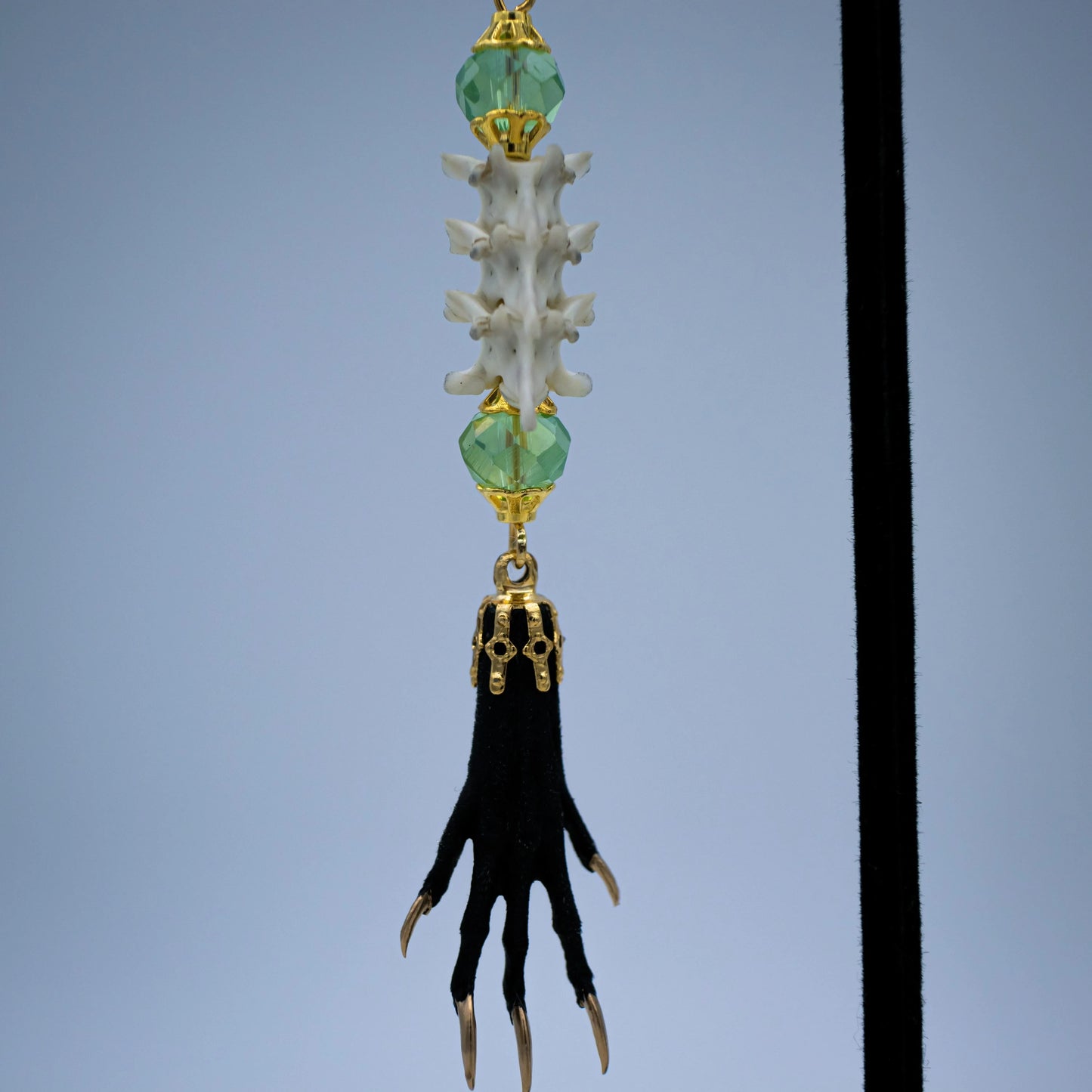Vertebrae and Paw Taxidermy Earrings