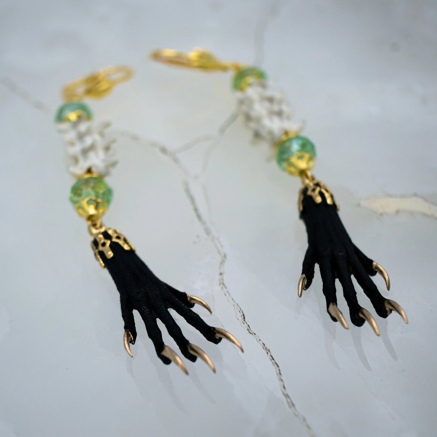 Vertebrae and Paw Taxidermy Earrings