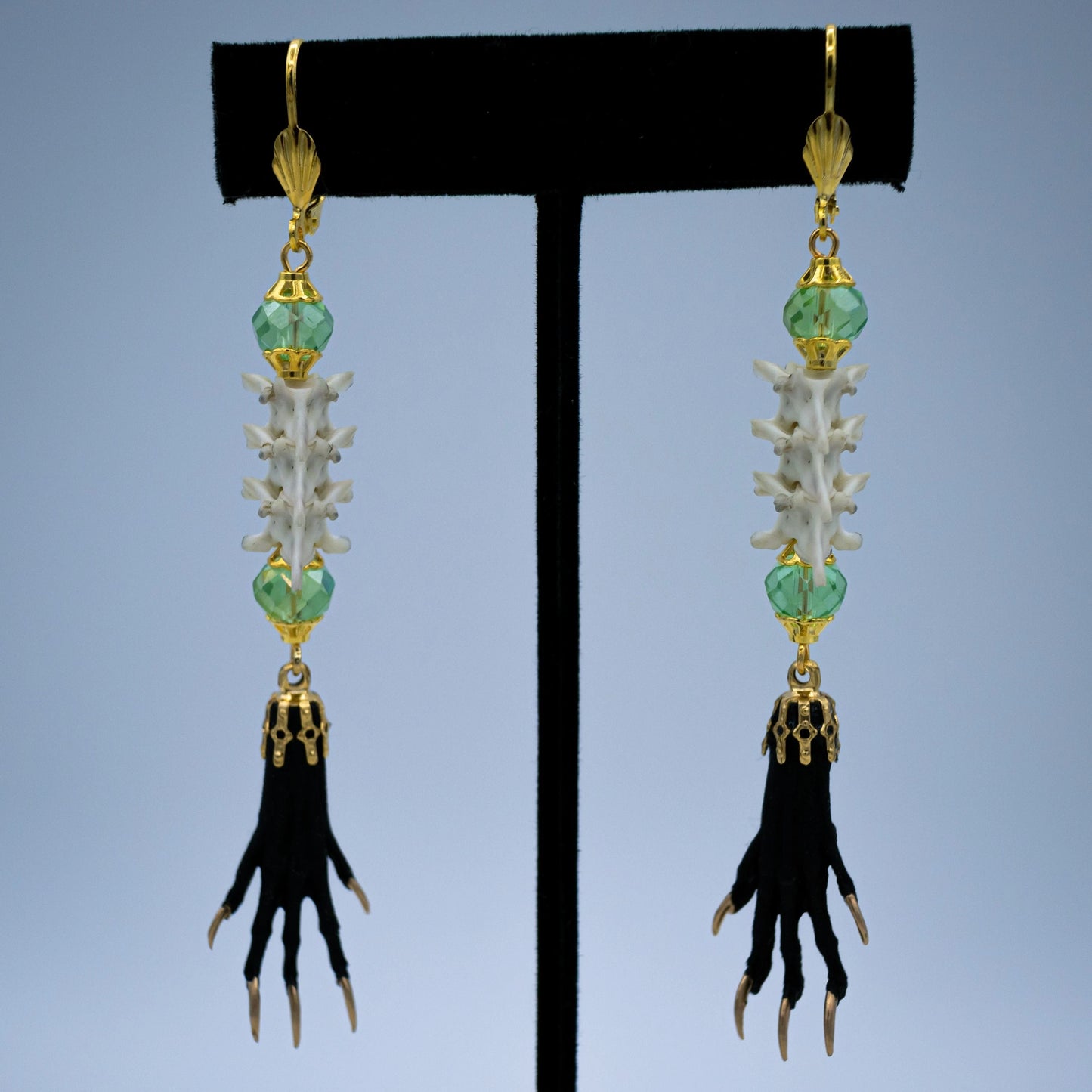 Vertebrae and Paw Taxidermy Earrings
