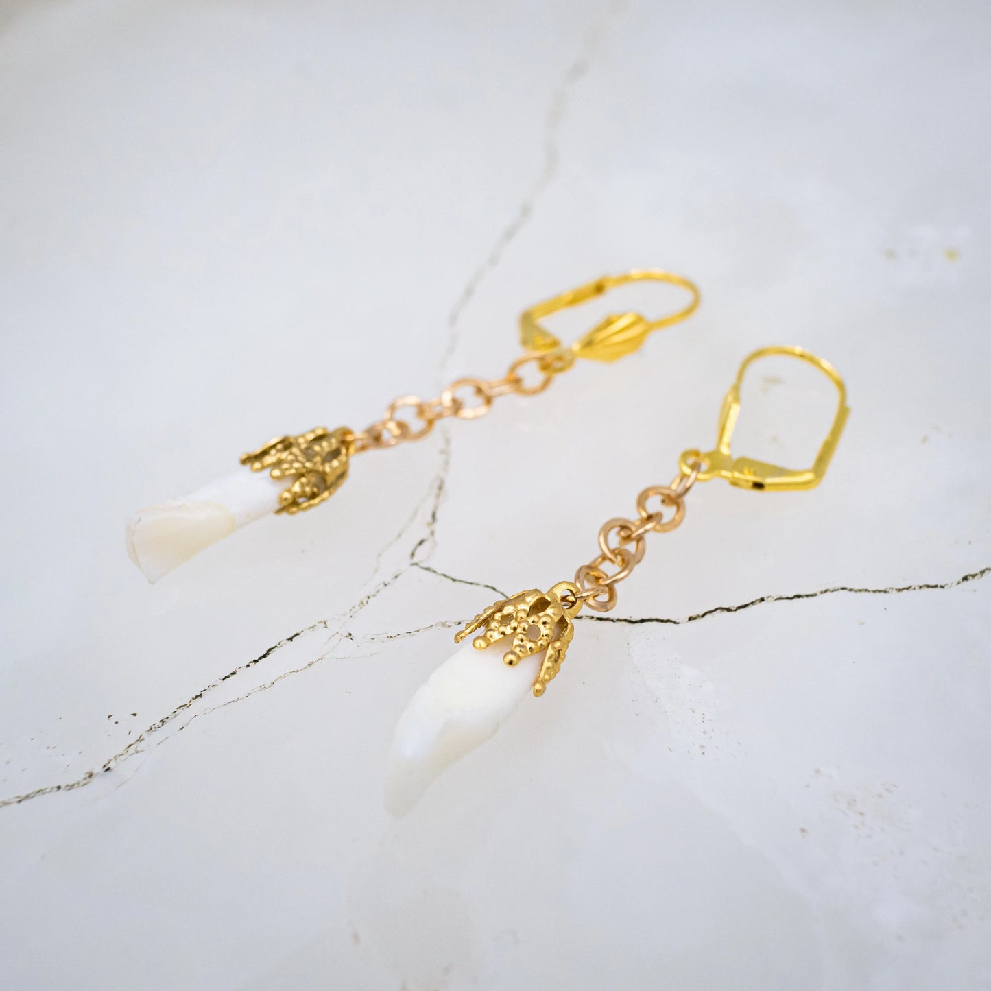 Gold Incisor Mourning Earrings