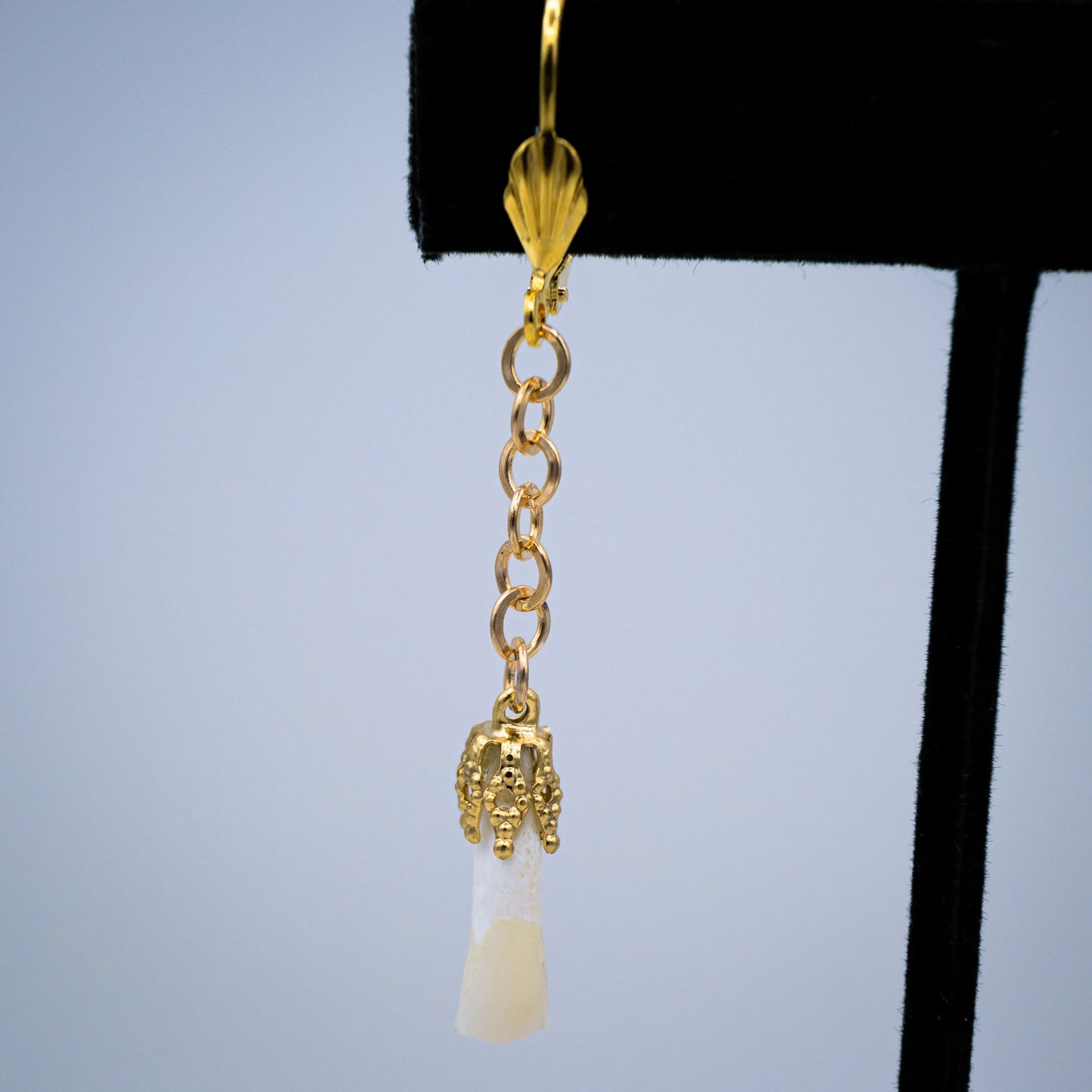 Gold Incisor Mourning Earrings