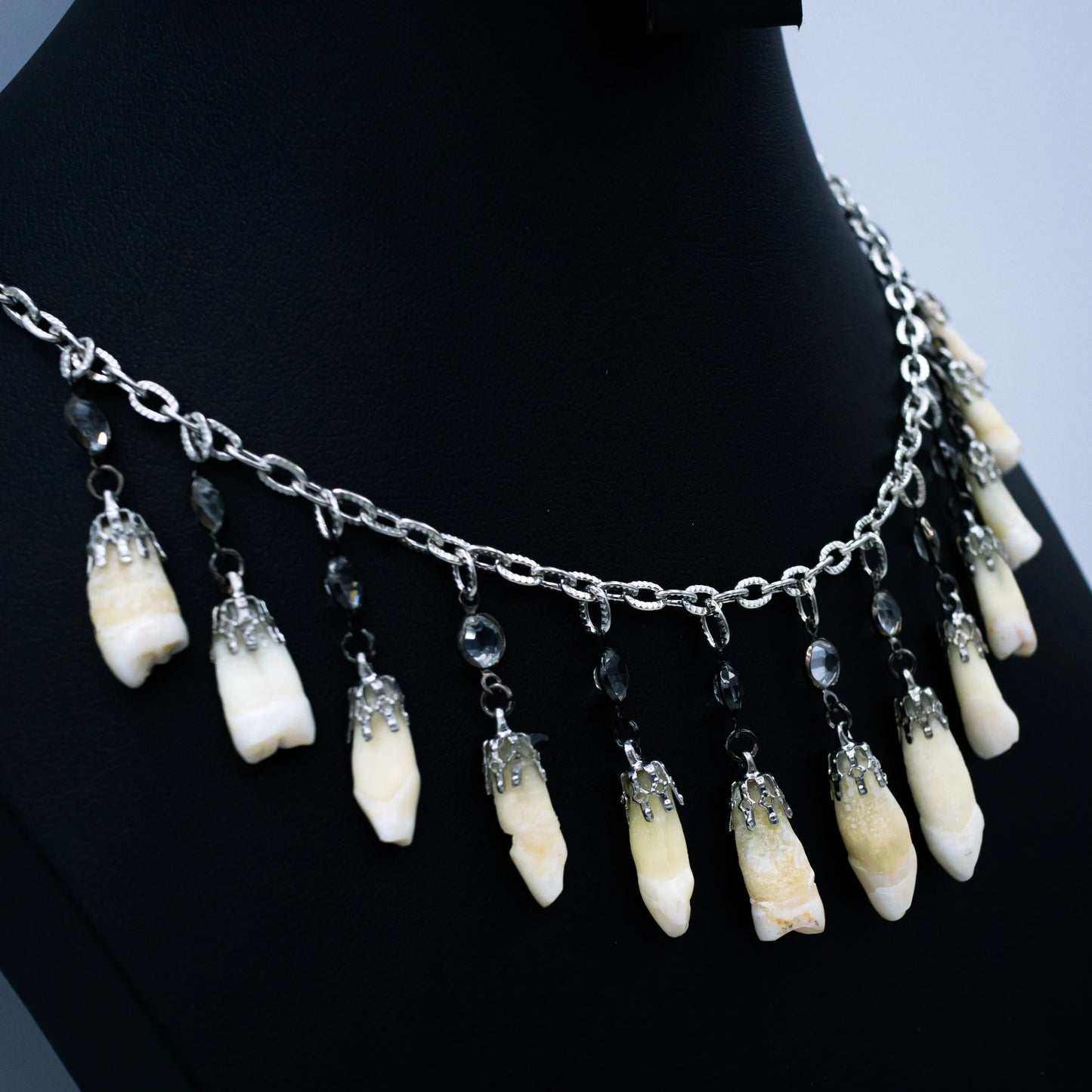 Human Tooth and Stone Necklace