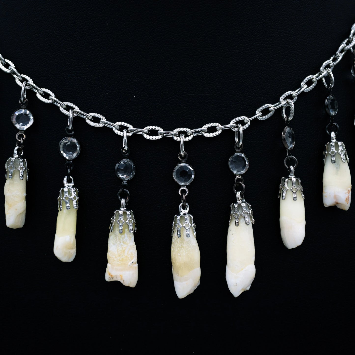 Human Tooth and Stone Necklace