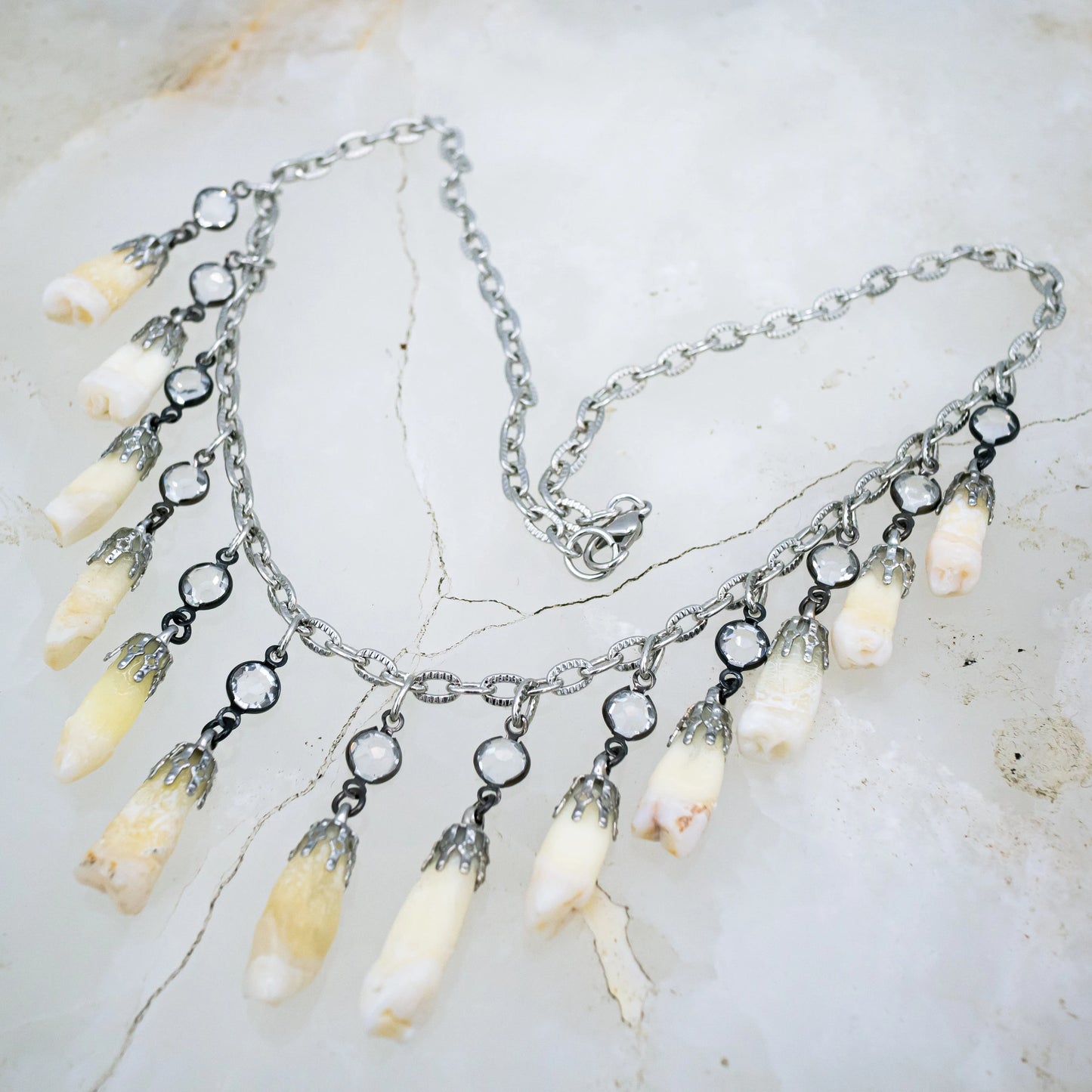 Human Tooth and Stone Necklace